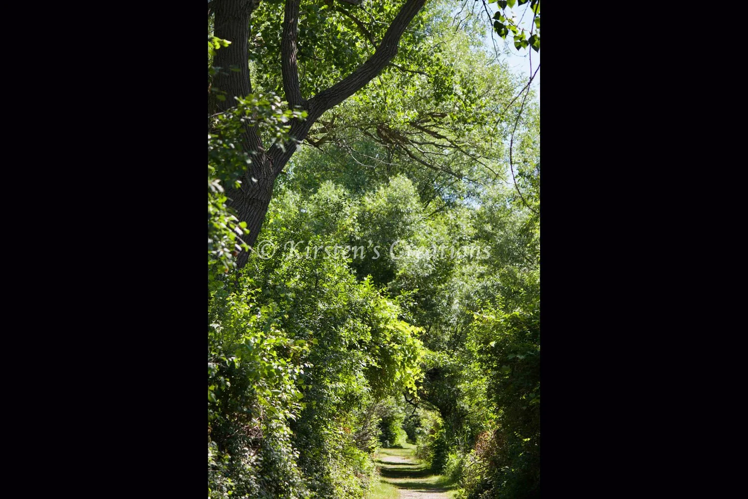 walkway-thru-tifft-2x3.jpg
