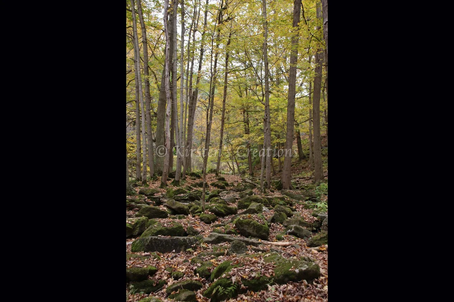 walk-thru-akron-2x3.jpg