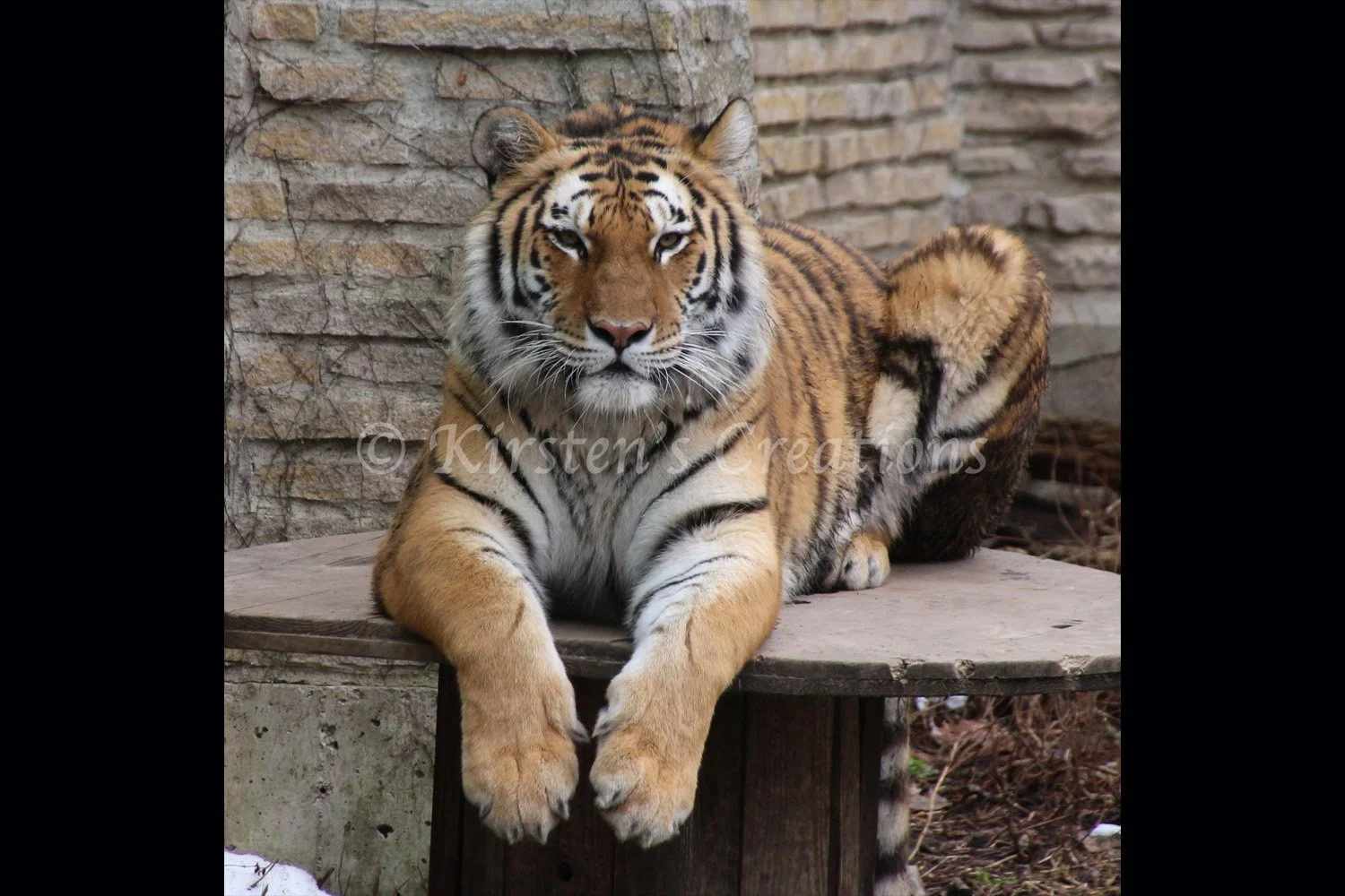 wanna-cuddle-2x3.jpg
