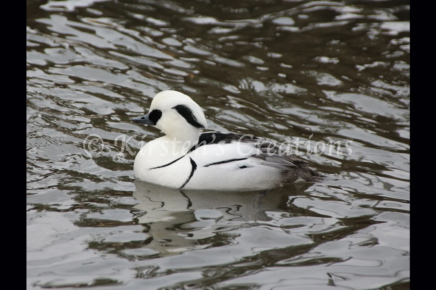 smew-rippled-reflection.jpg