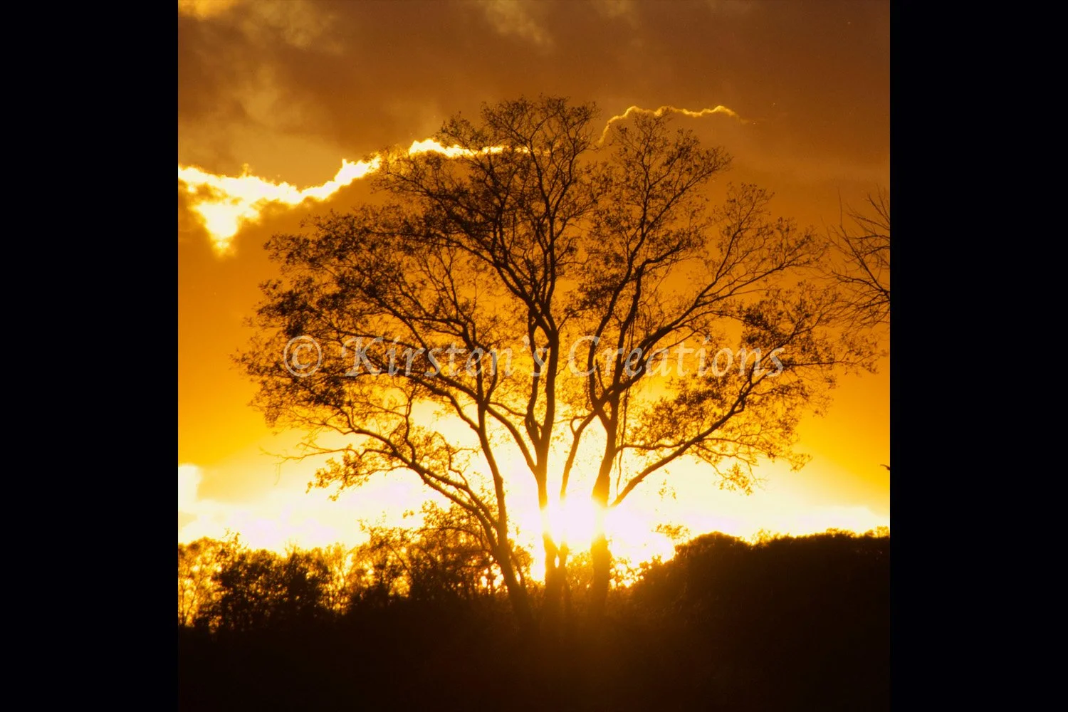 sunset-blazing-tree-2x3.jpg