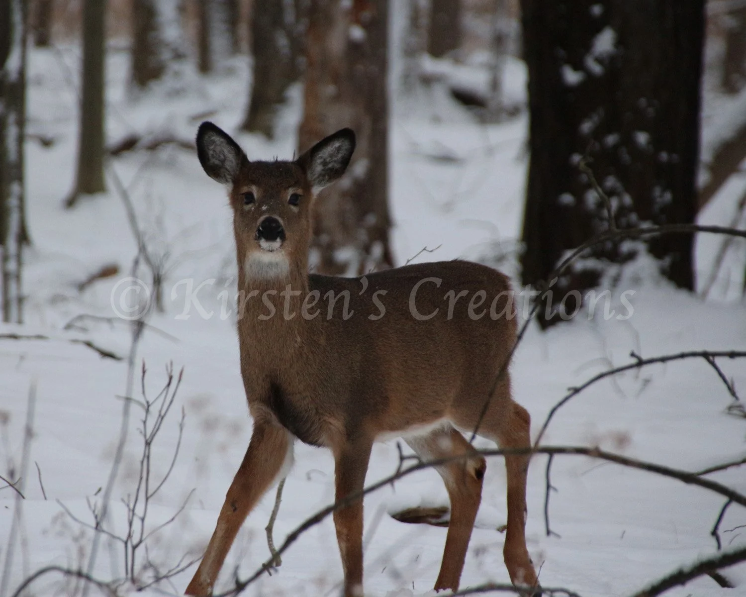 Here's Looking At You