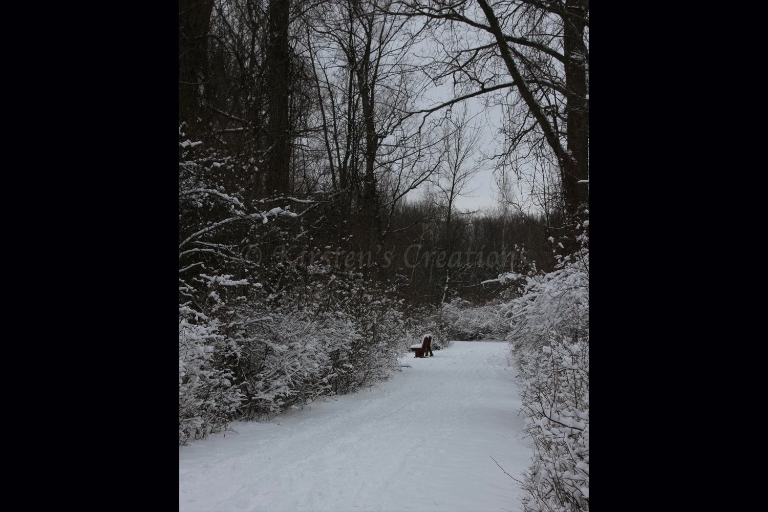 winter-bench-2x3.jpg