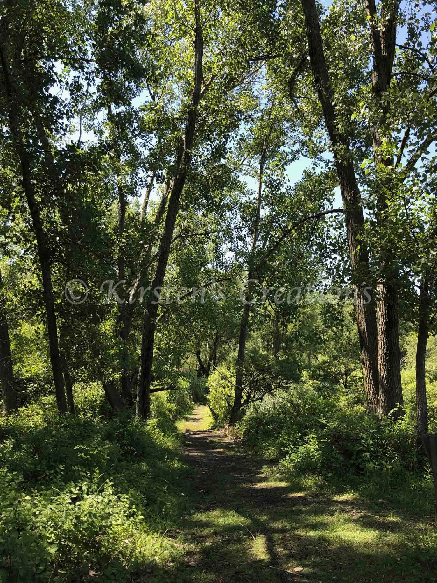 Wandering Among The Beauty.jpg