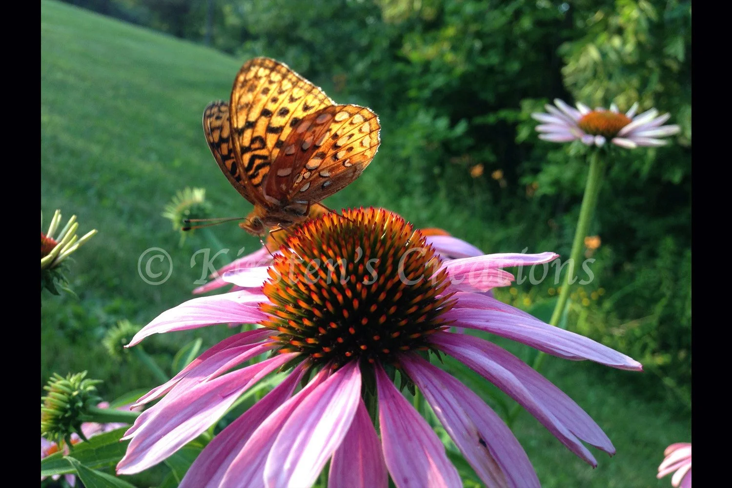 fritilary-close-2x3.jpg