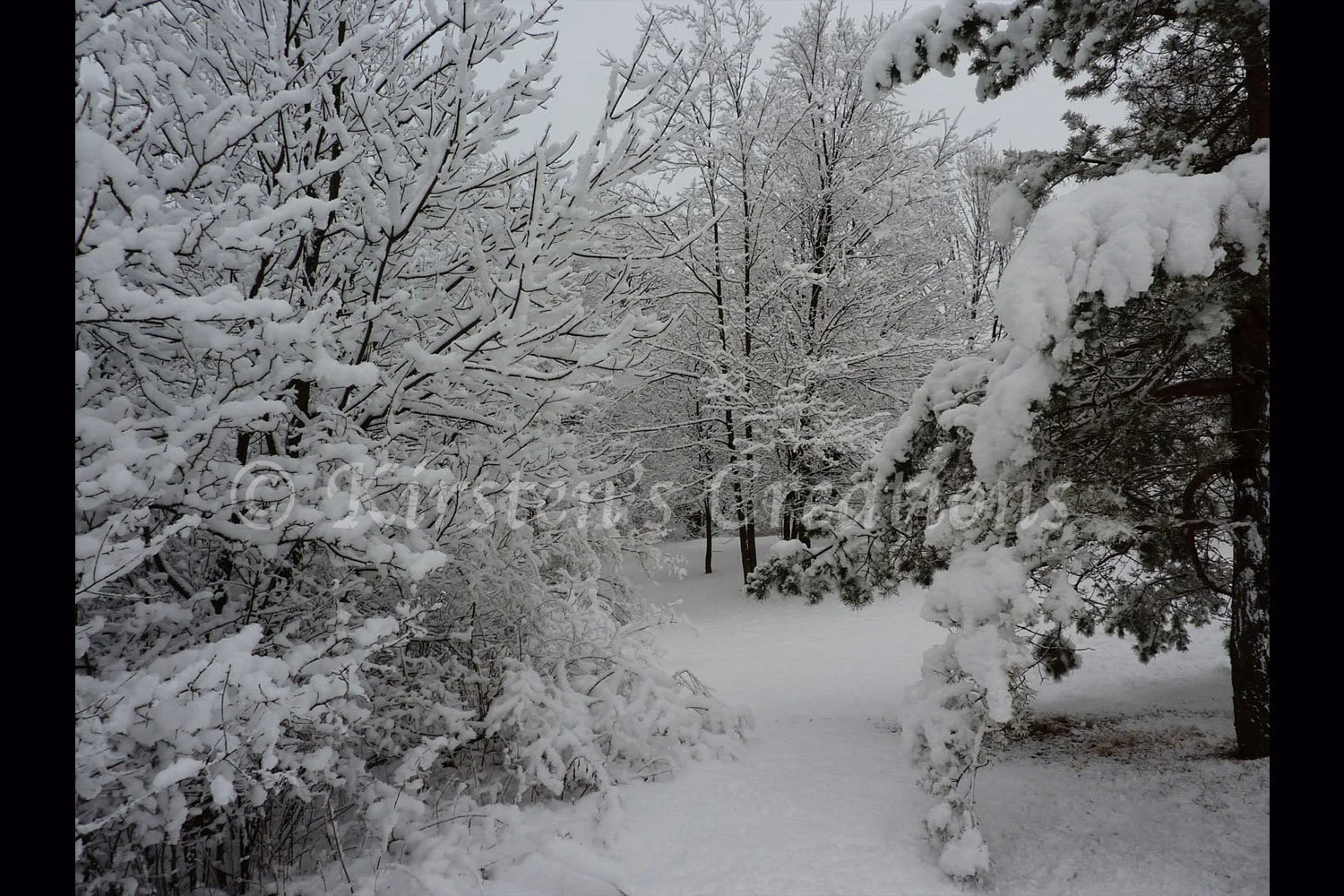 winter-path-2x3.jpg