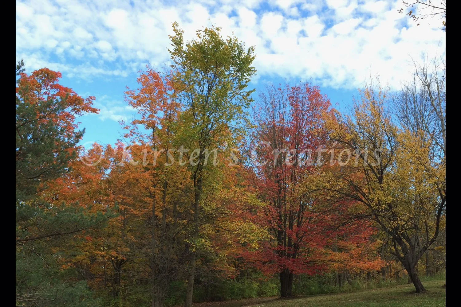 fall-scene-2x3.jpg