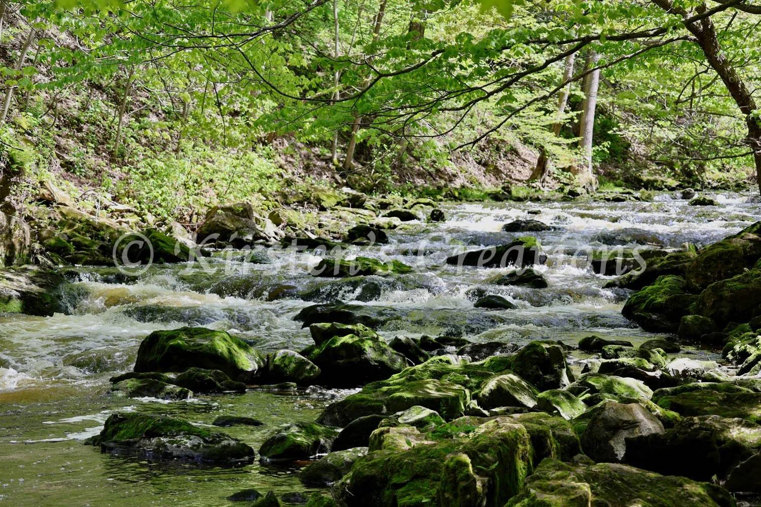 Akron Falls Flowing Creek