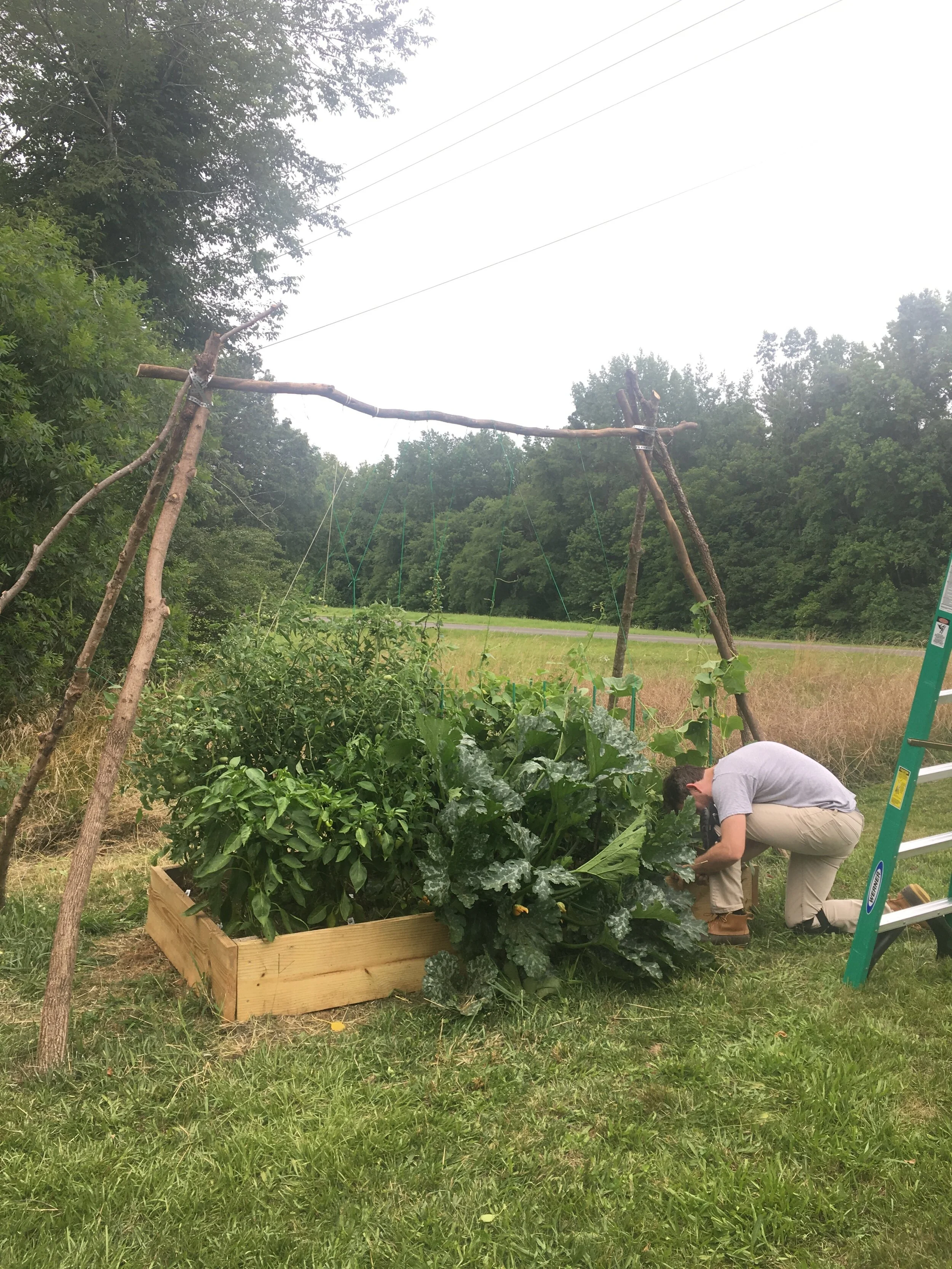 A flourishing veggie garden! &amp; my hunky gardener : )