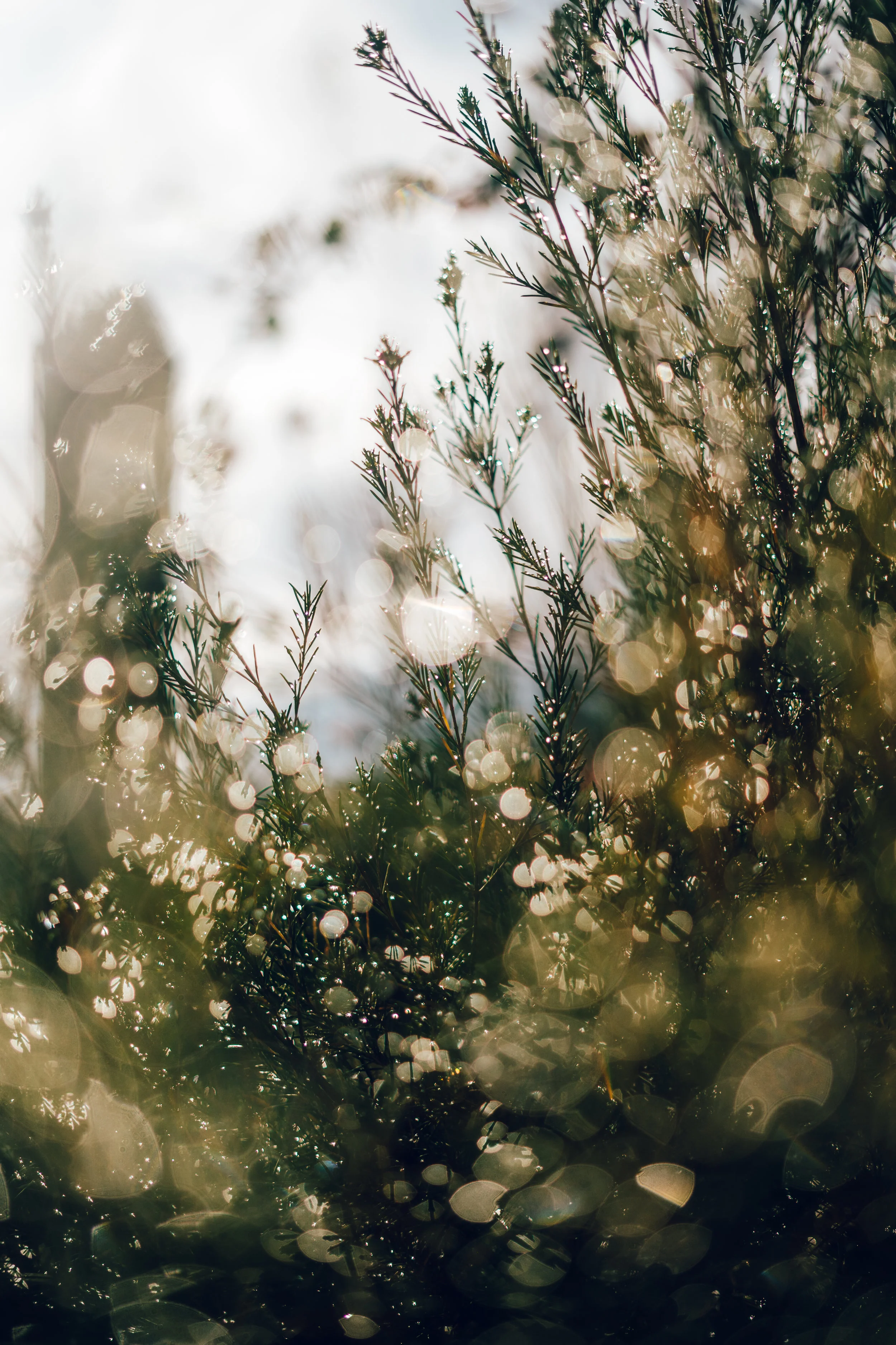 5 Ways to Thrive in a Waiting Season