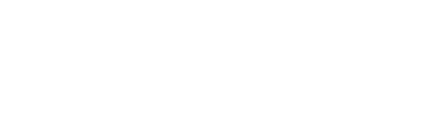 Matthew Siegel Consulting LLC