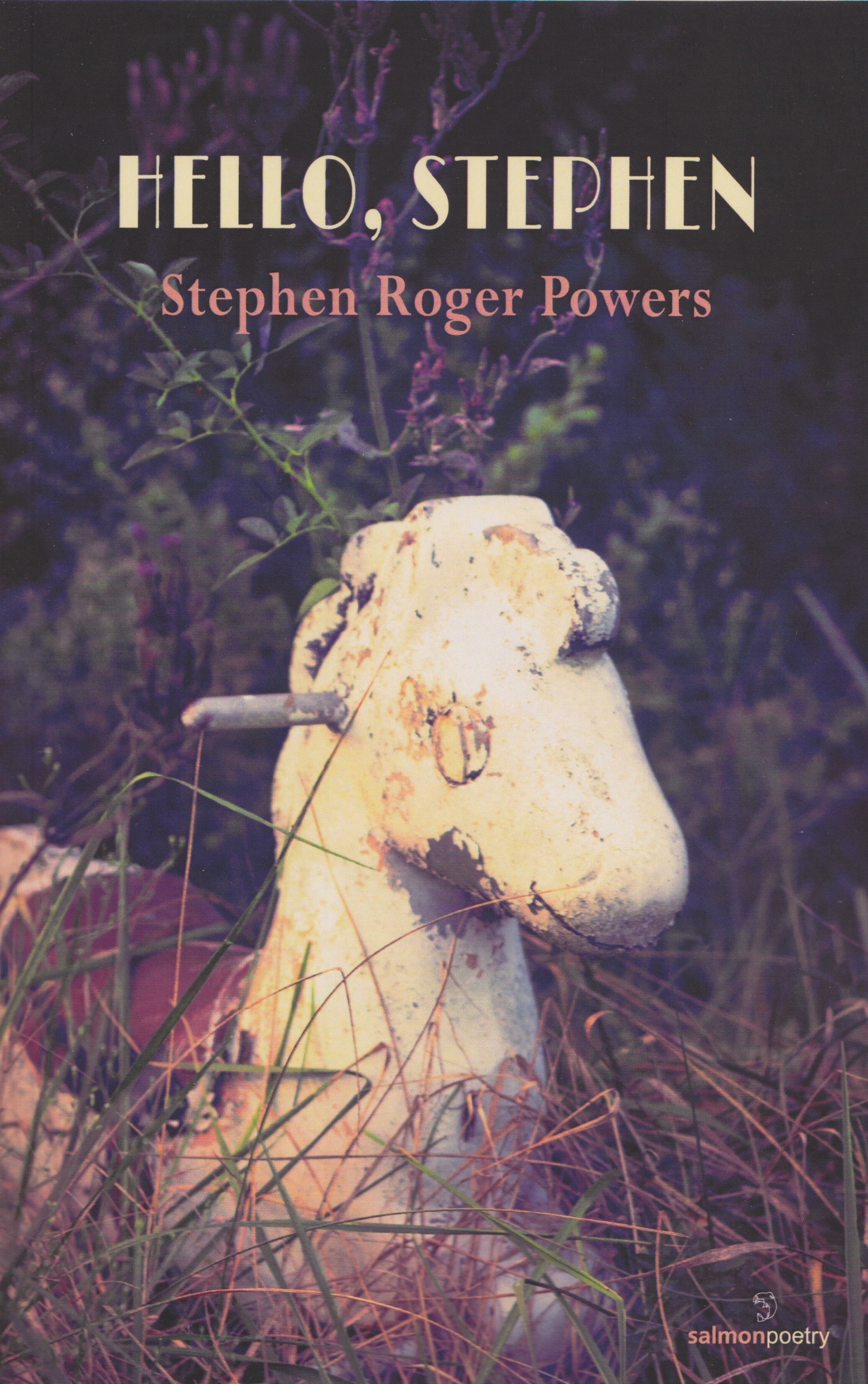 HelloStephenCover.jpeg