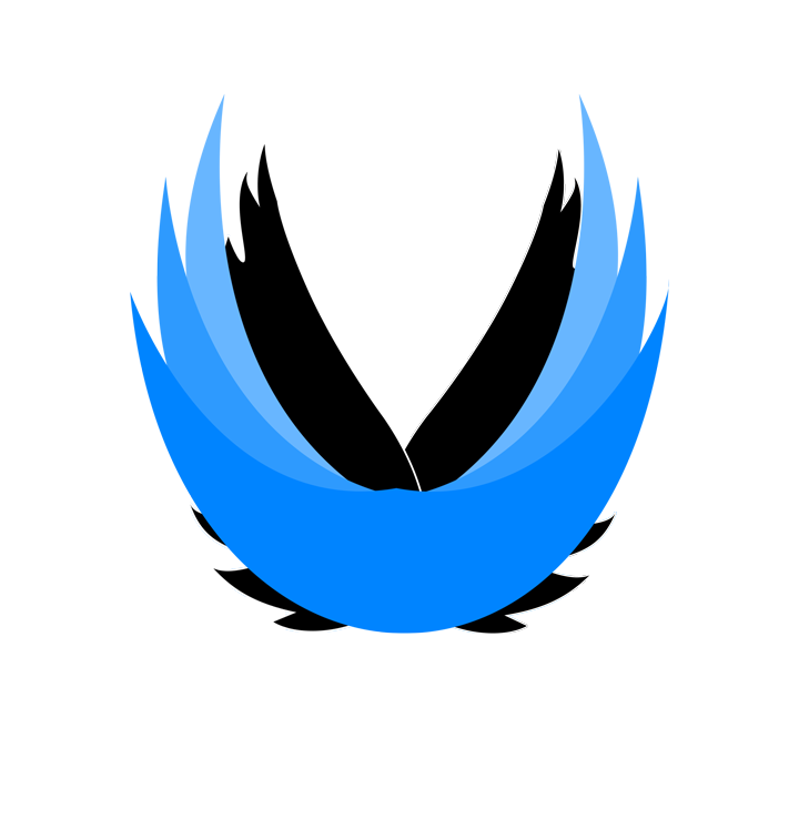 Patient Spirit Productions