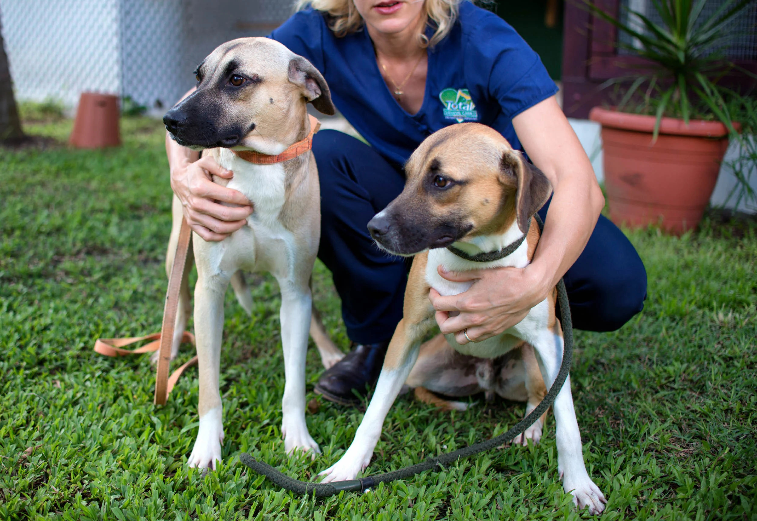 Total Loving Care Veterinary Services Inc-035.jpg