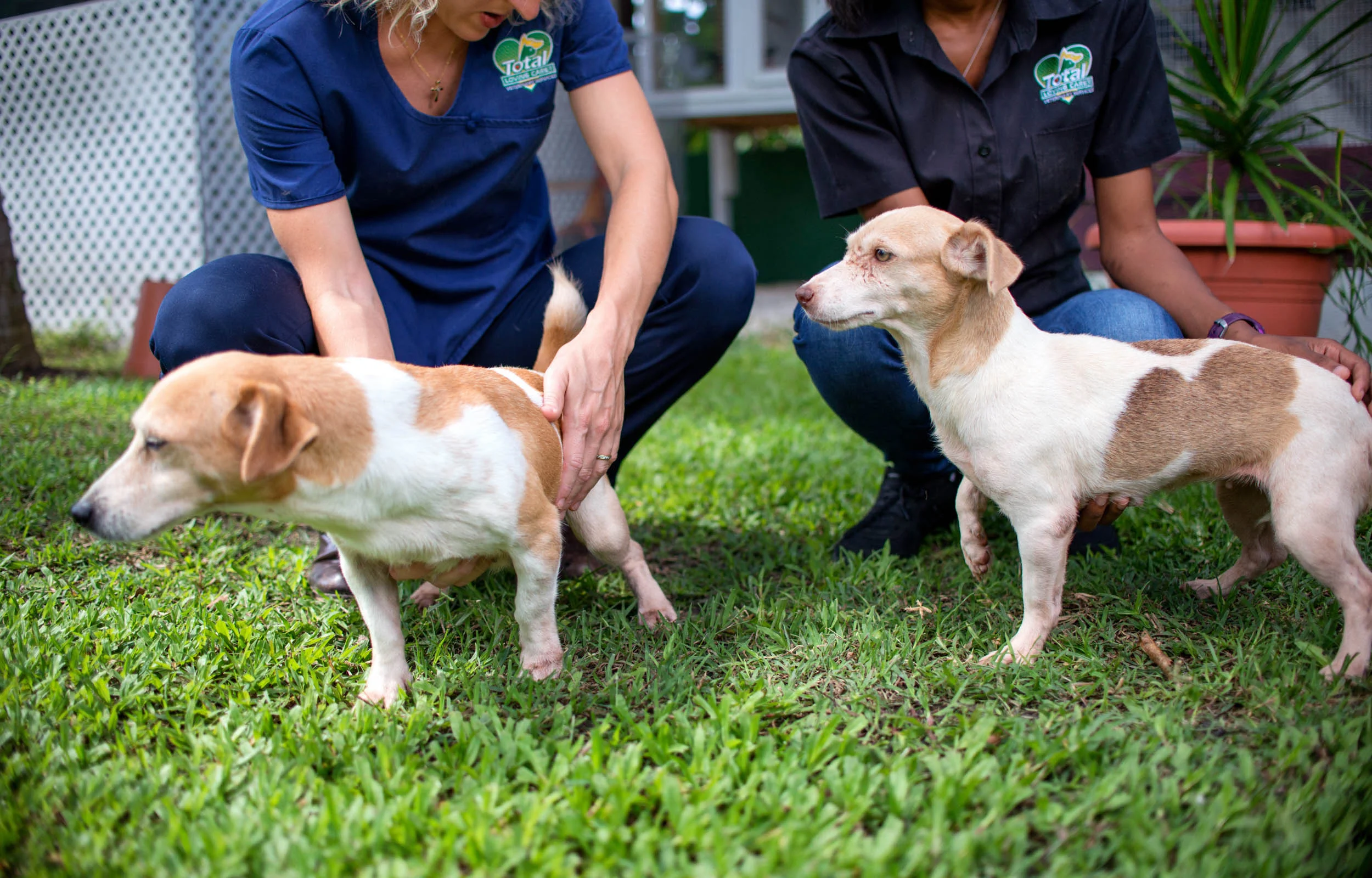 Total Loving Care Veterinary Services Inc-070.jpg