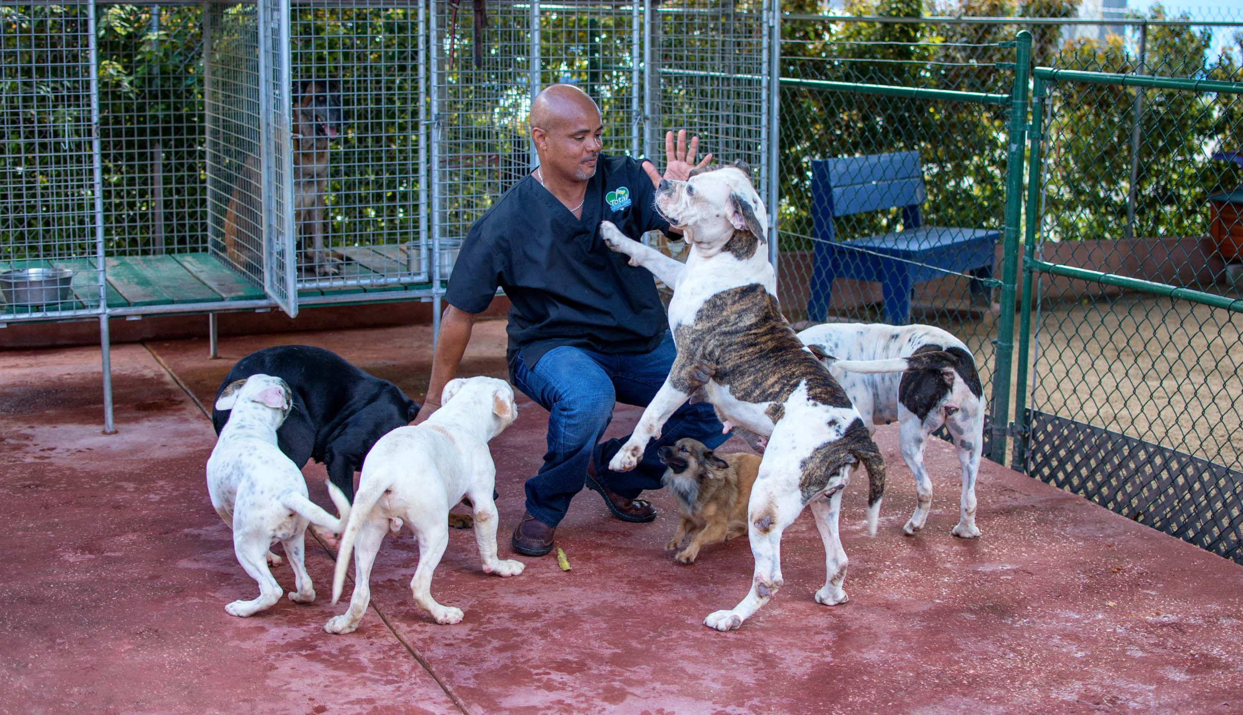 Total Loving Care Veterinary Services Inc-075.jpg