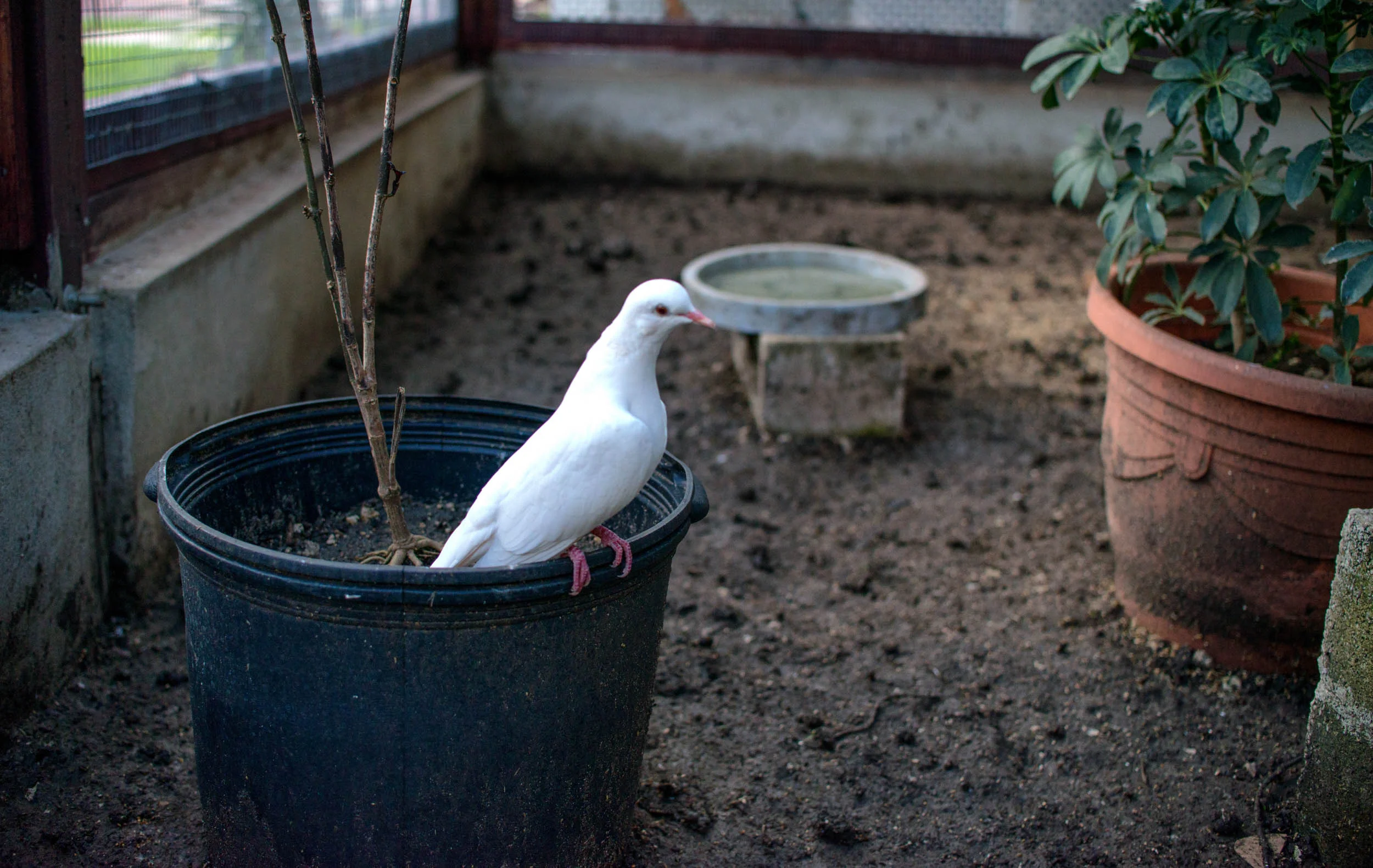 Total Loving Care Veterinary Services Inc-045.jpg