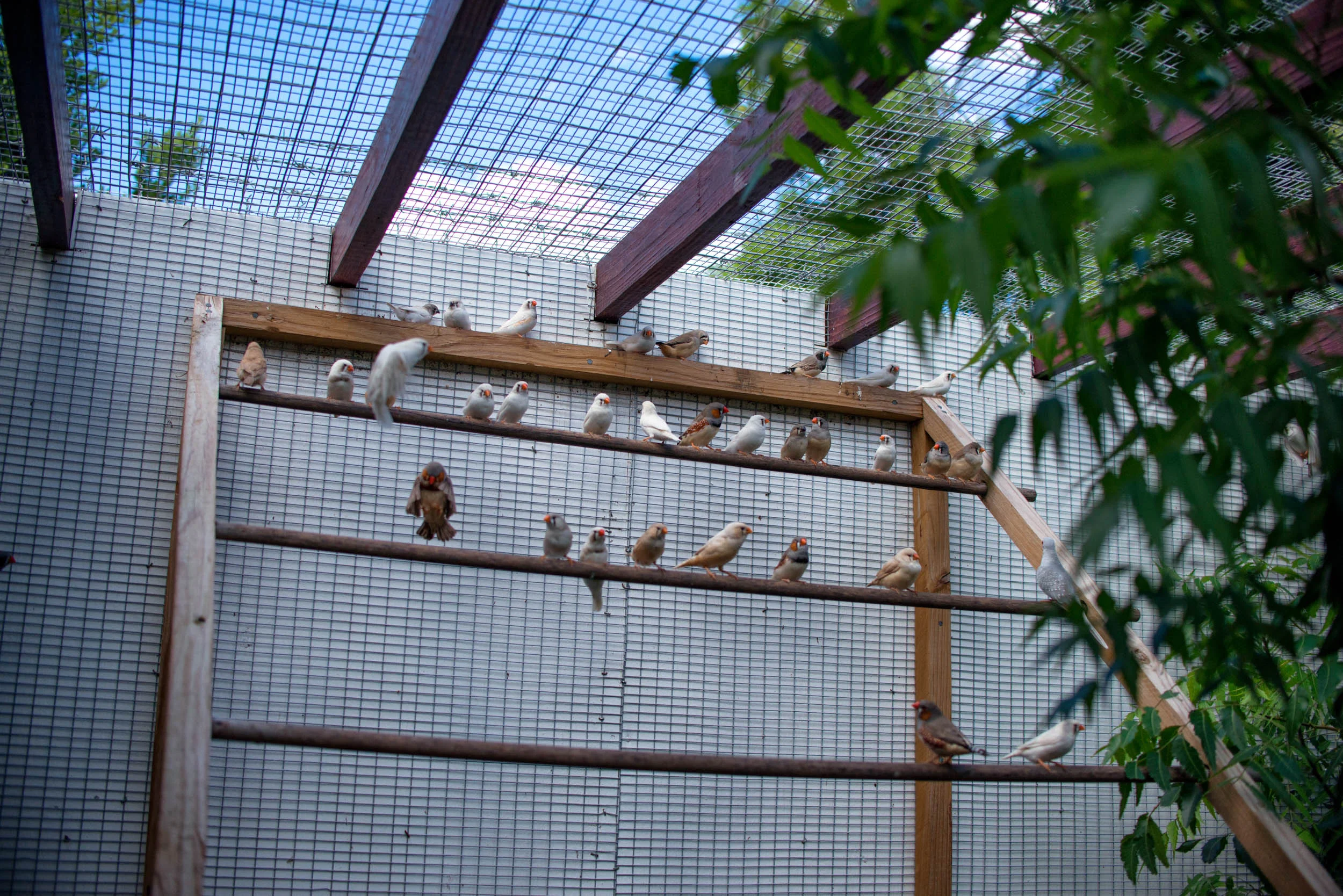 Total Loving Care Veterinary Services Inc-047.jpg