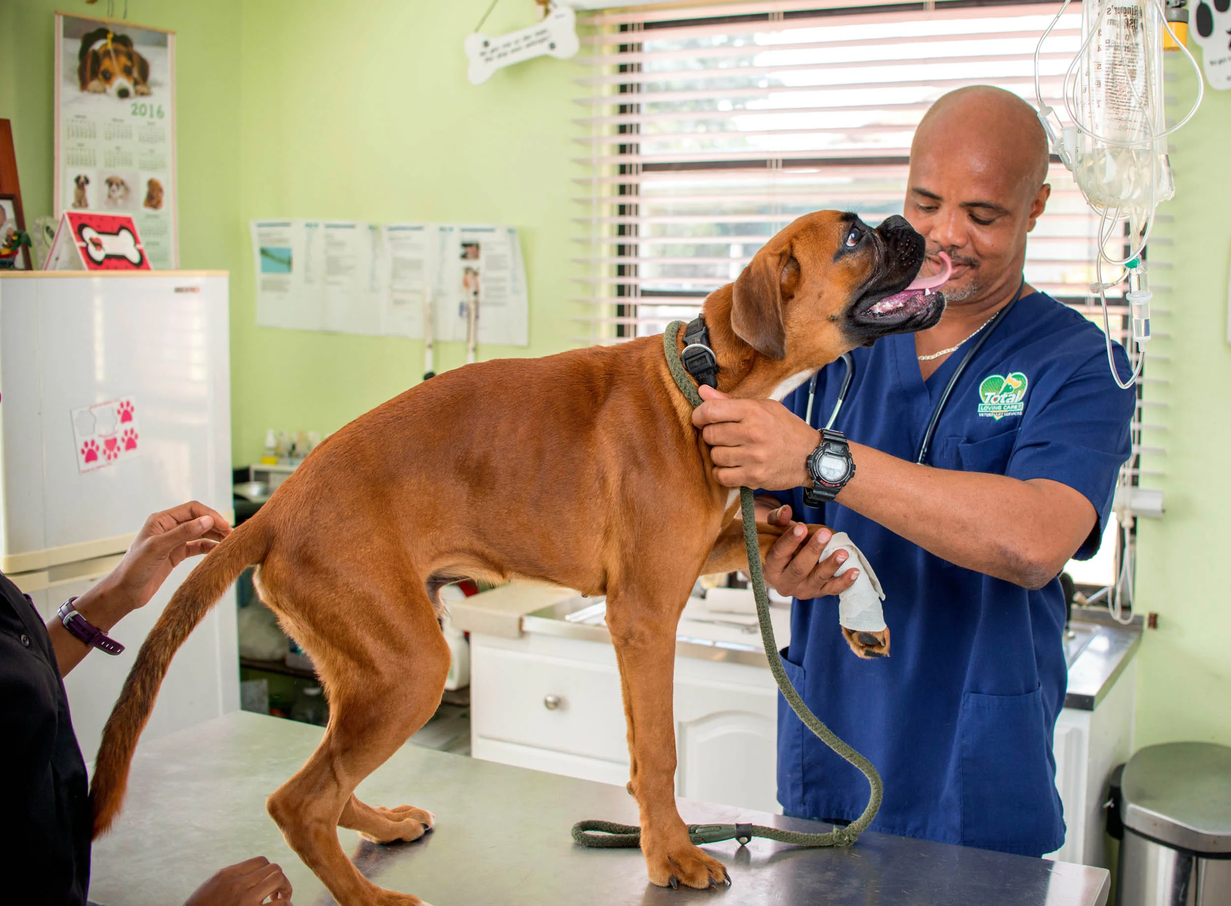 Total Loving Care Veterinary Services Inc-115.jpg