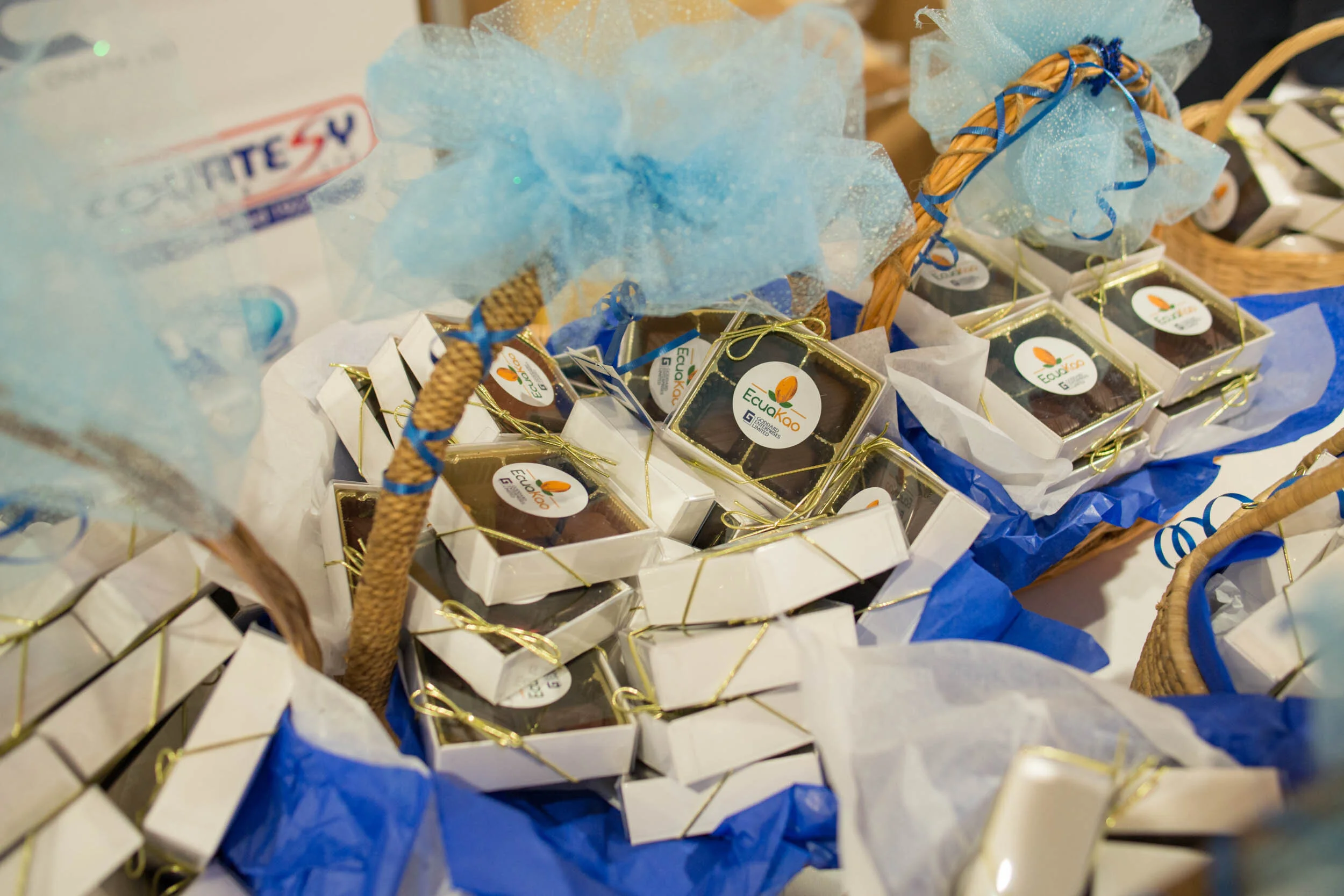 GEL AGM 2018 (HQ)--044.jpg