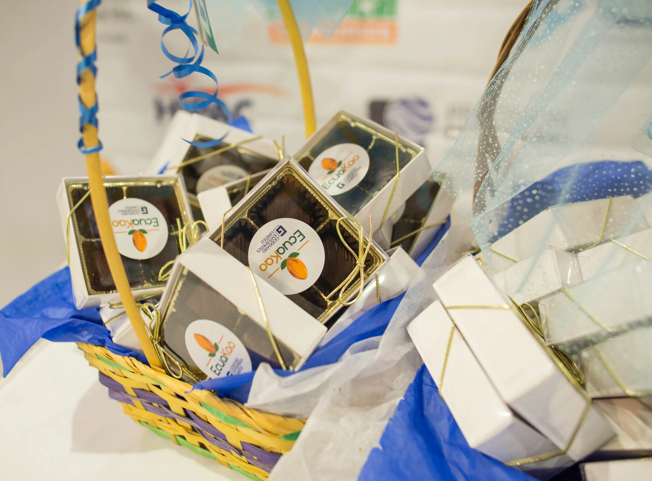GEL AGM 2018 (HQ)--045.jpg