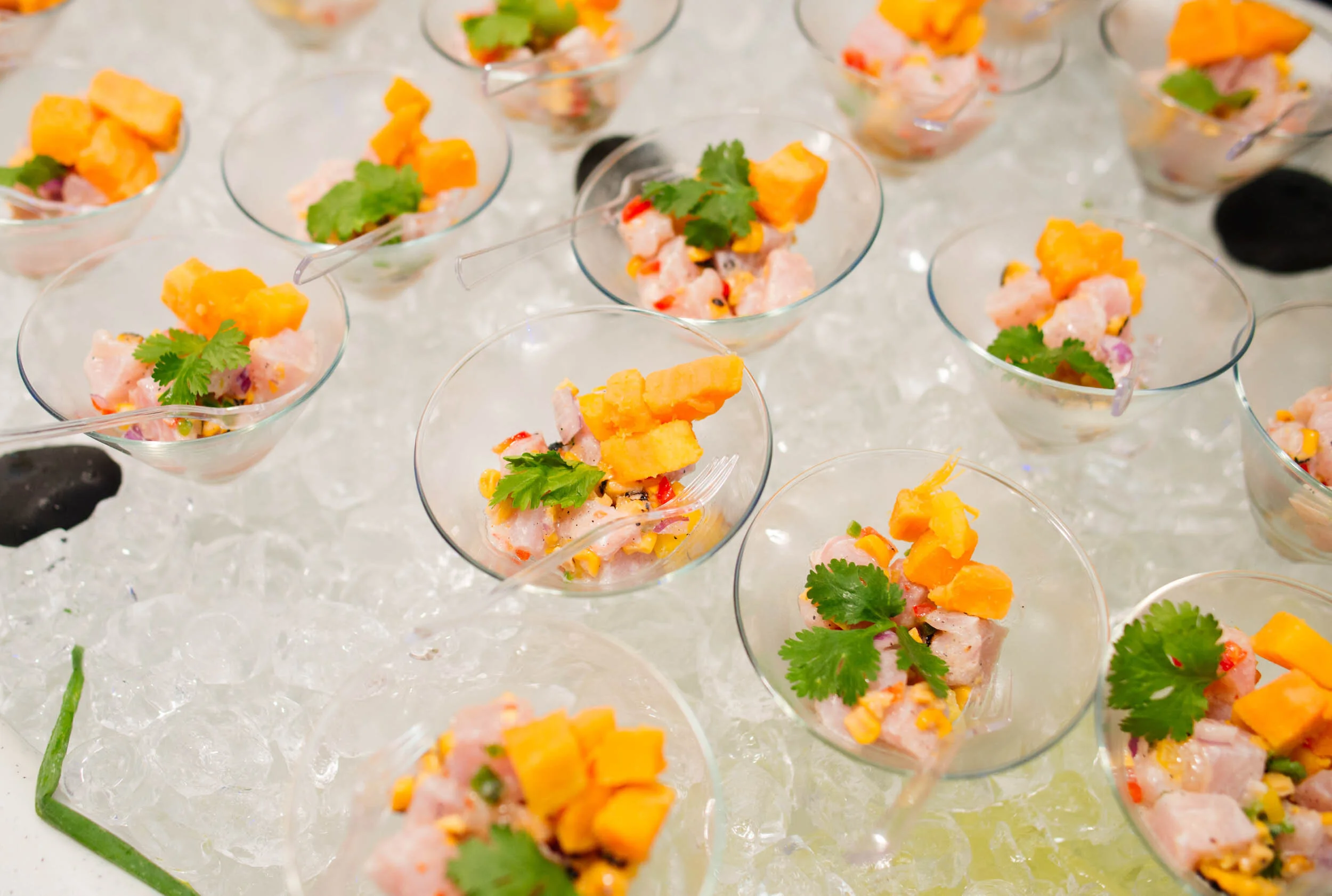 GEL AGM 2018 (HQ)--102.jpg