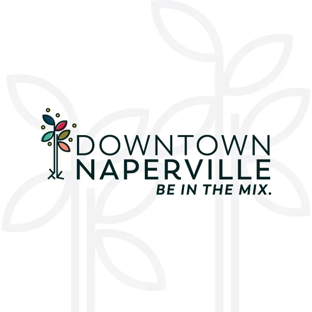 dtnaperville_logo.jpg