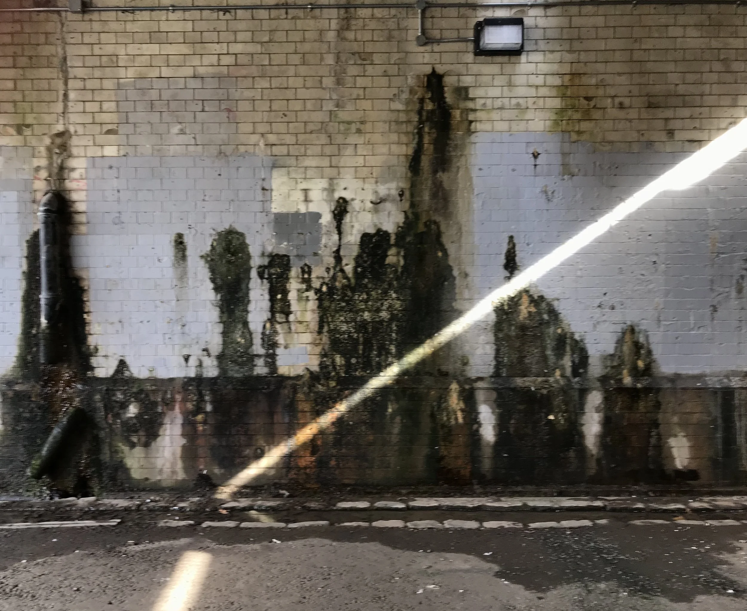 IMG_0931.jpeg
