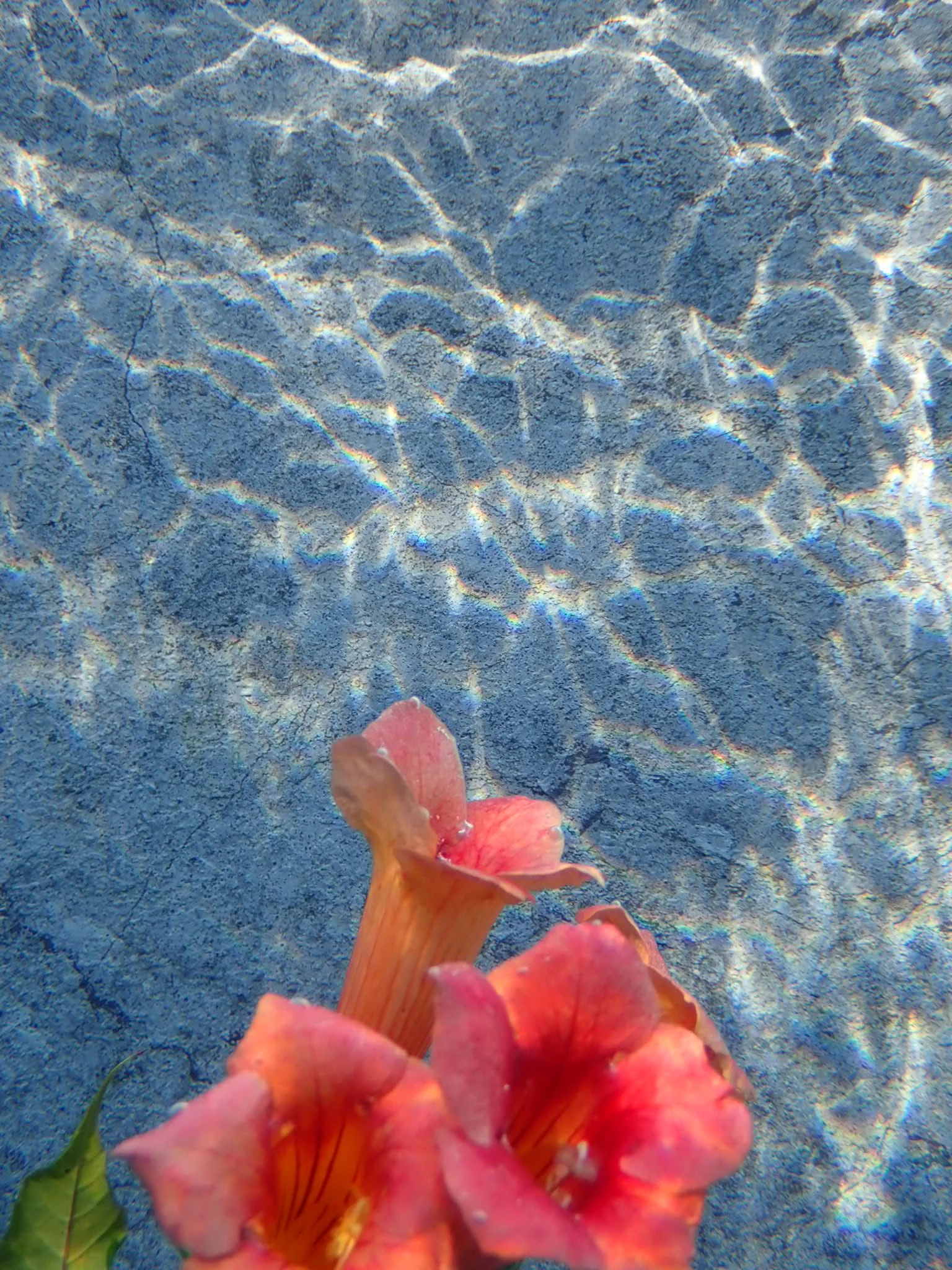 IMG_5076.JPG