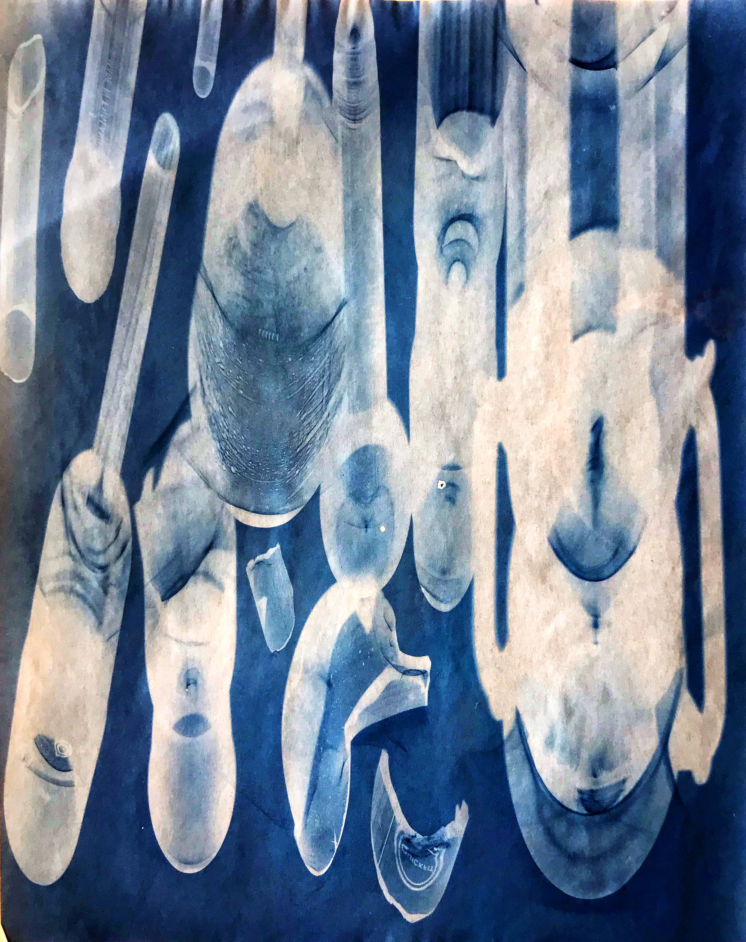 Cyanotype - Instrument series