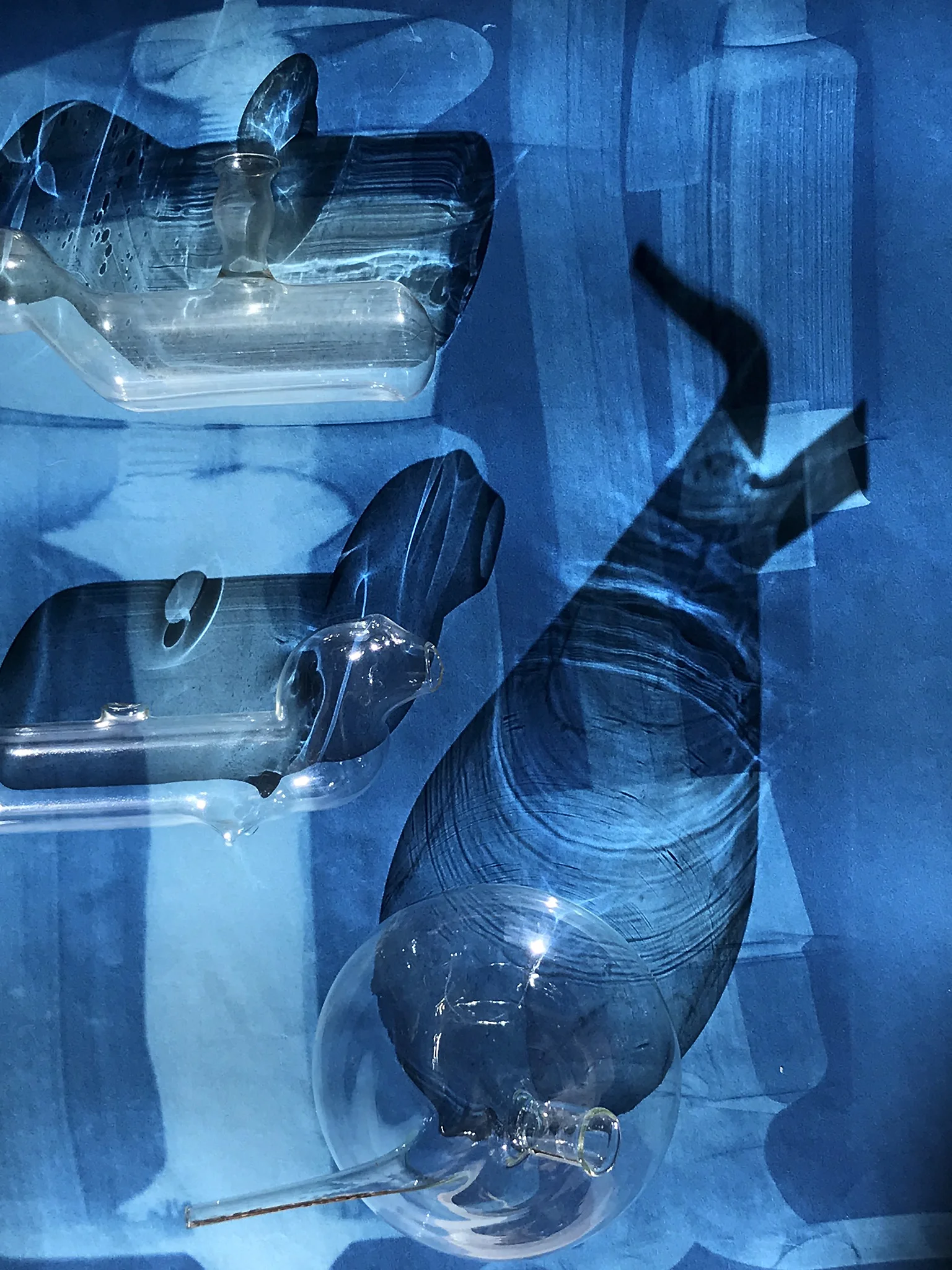 CYANOTYPE SERIES 3.JPEG