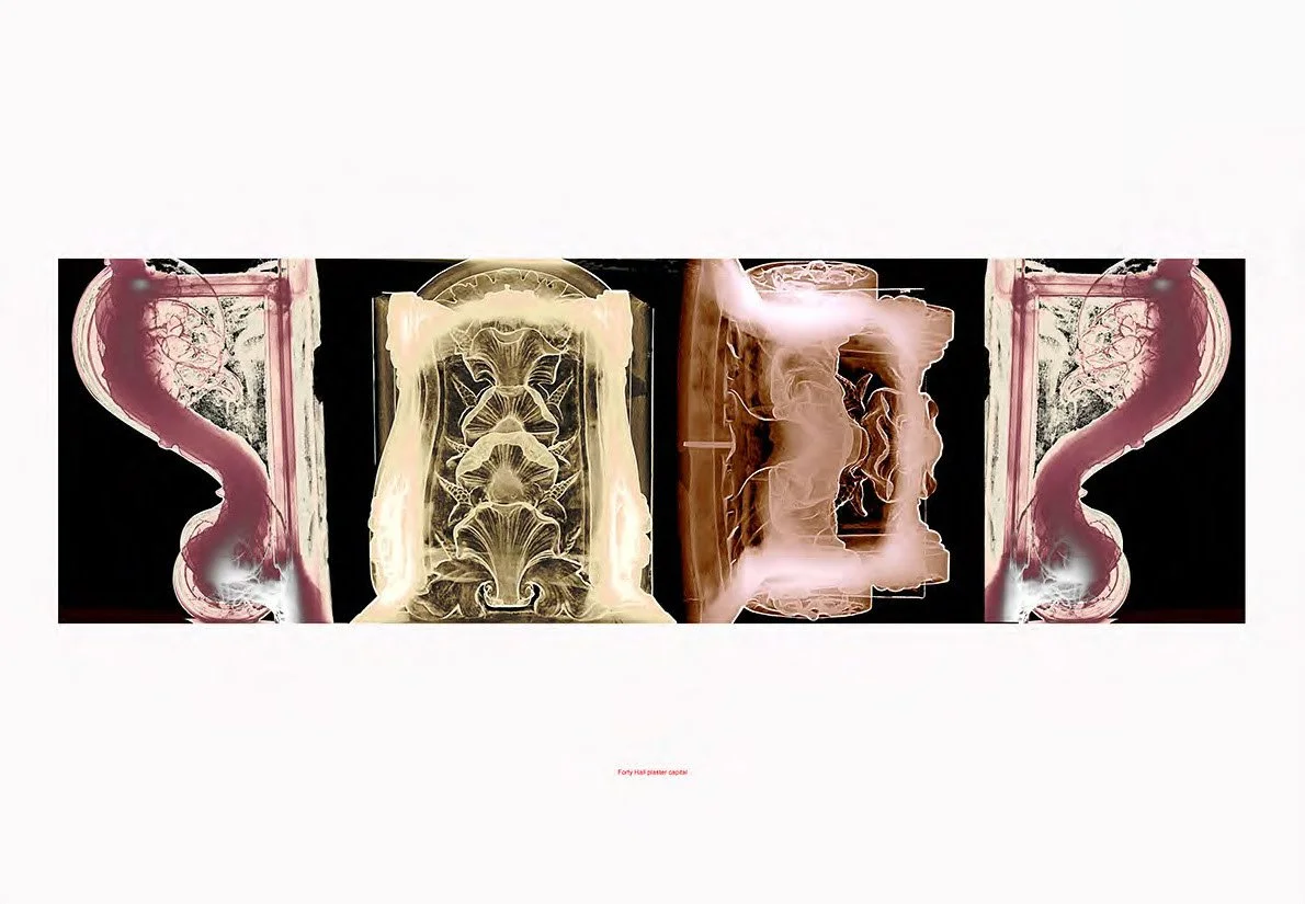 Wallpaper and X-Rays Sue Ridge ©  copy_Page_06.jpg