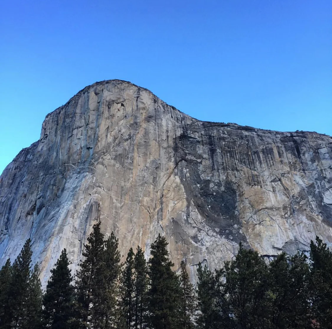 el_cap.jpg