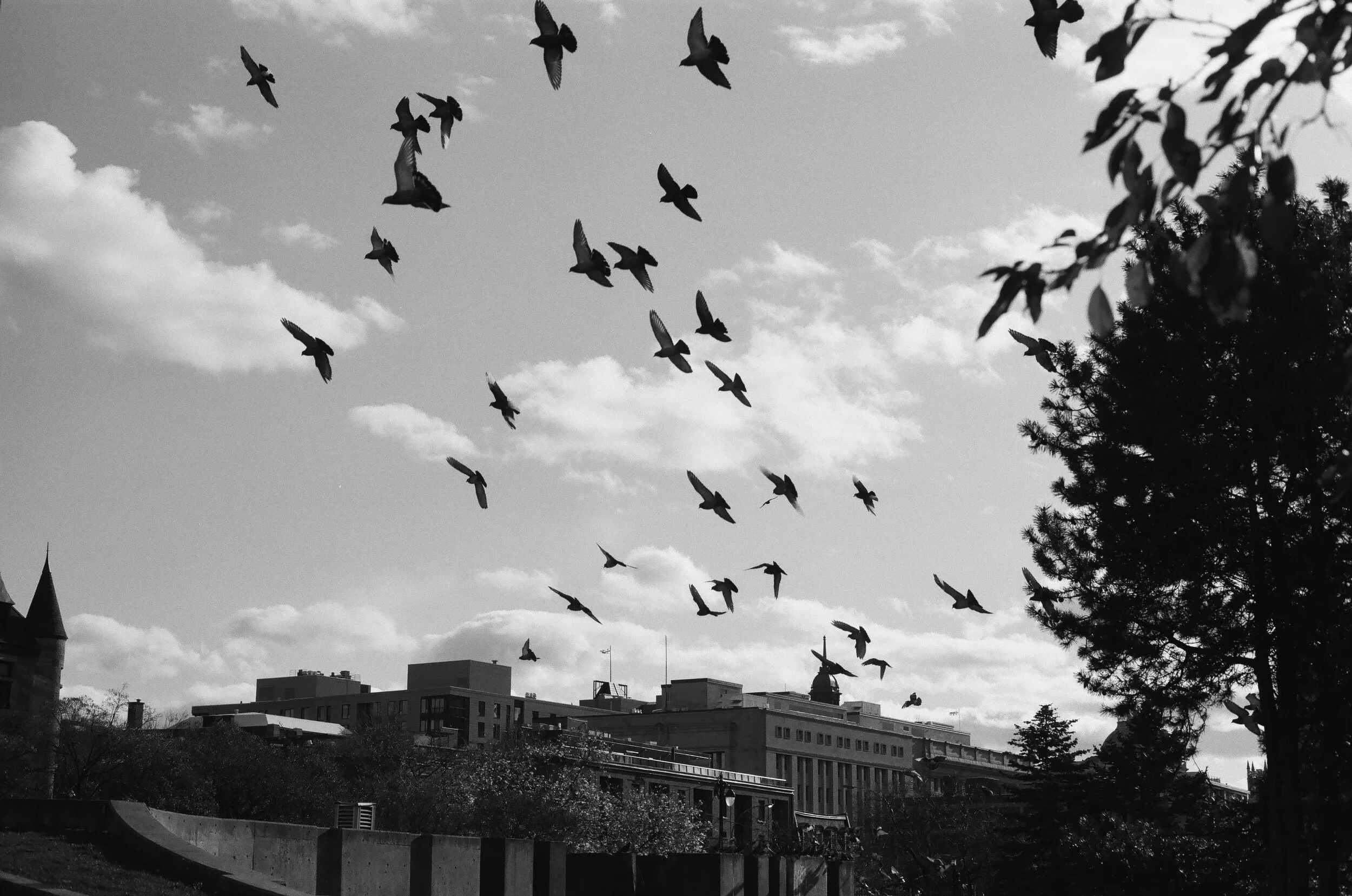 012010010018.jpg