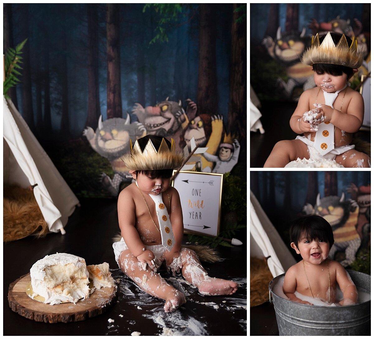 Where the Wild Things Are cake smash. 