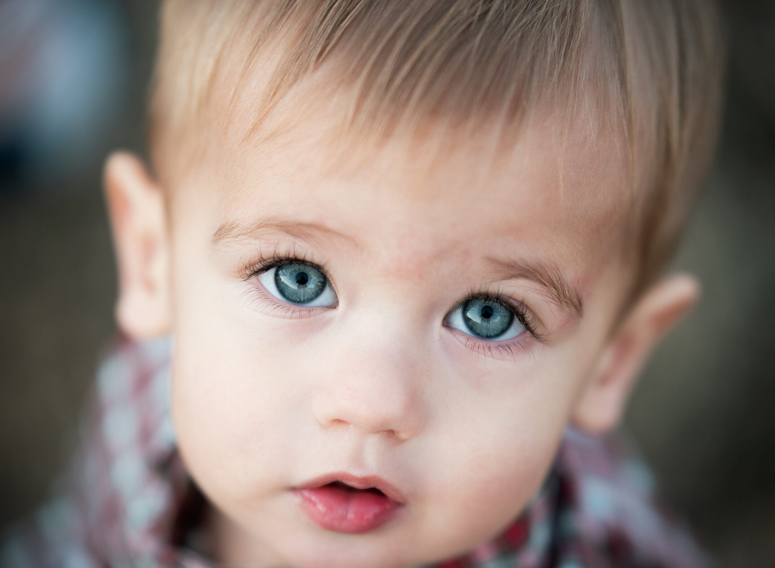 portrait-blue-eyes-crosby.jpg