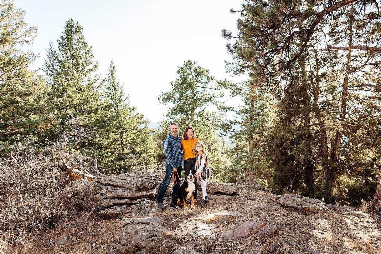 Gorgeous mountain session 🌲☀️🏔