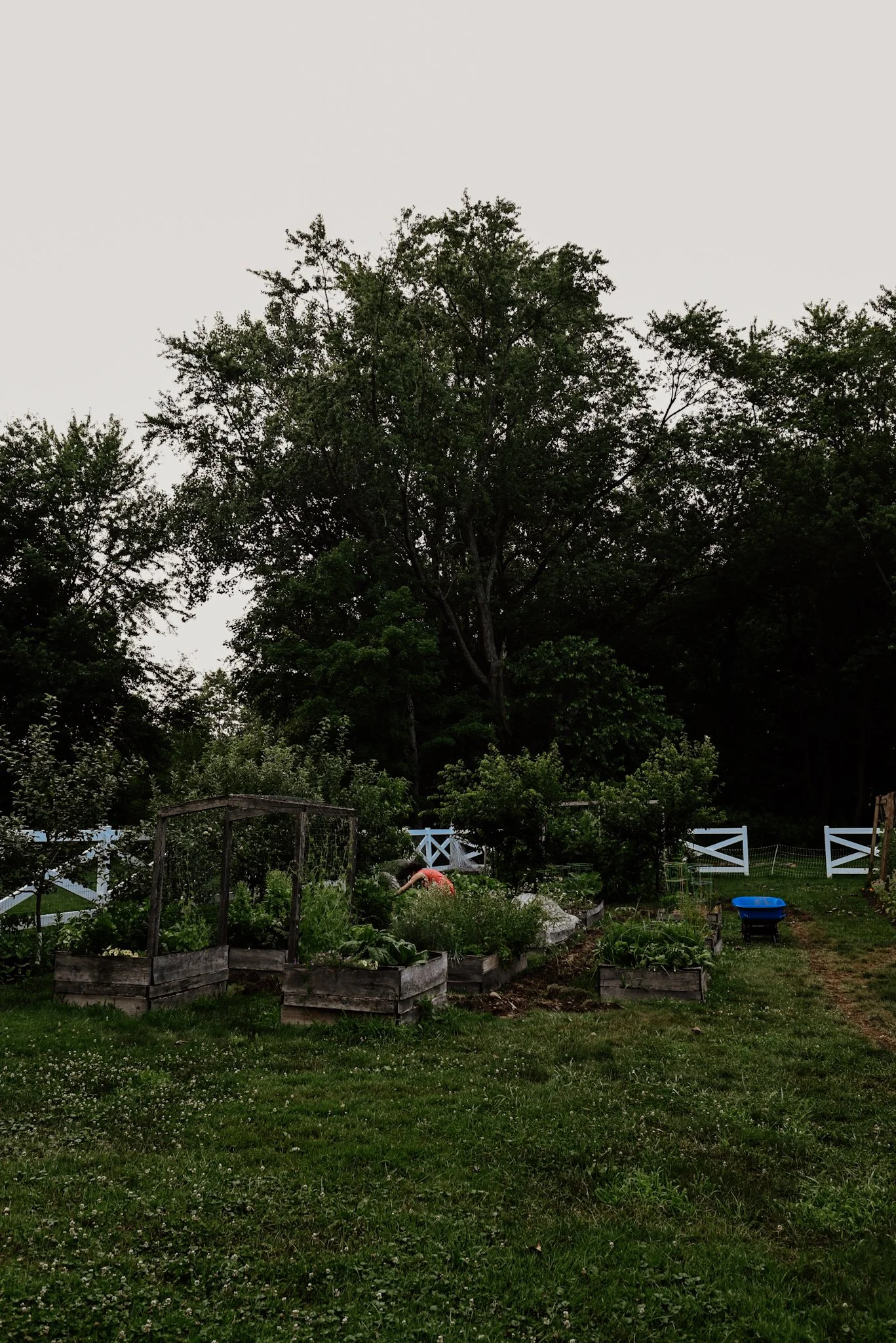 DSC_3953.jpeg