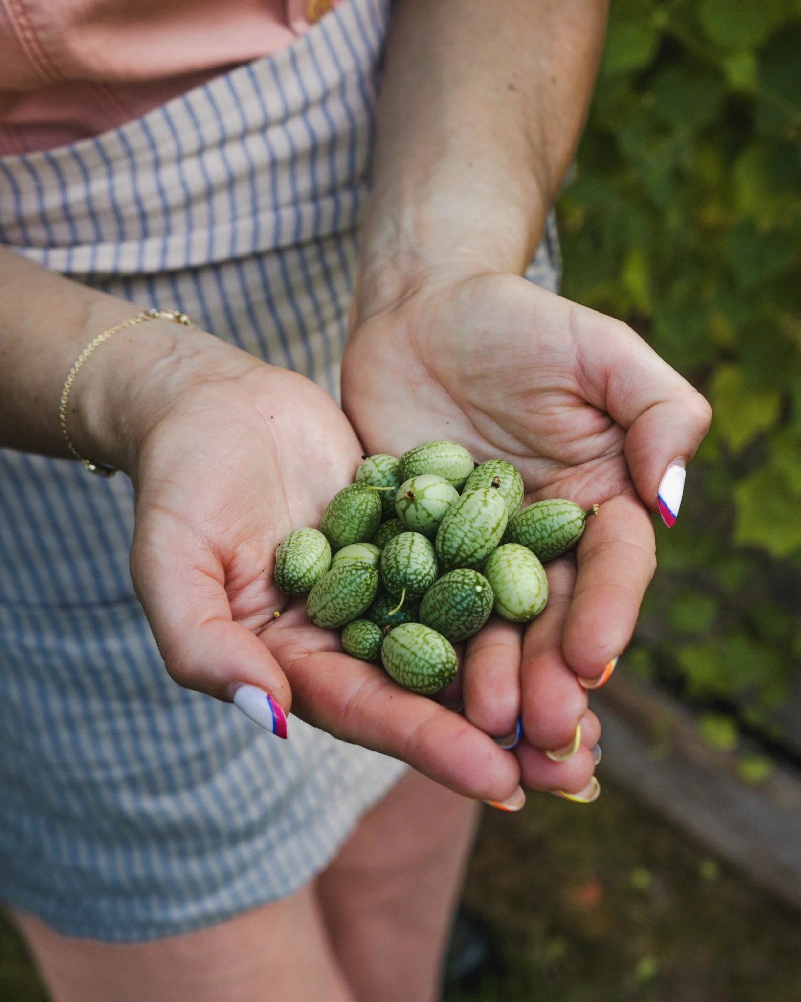 North_Ridge_Farm_2025-135.jpeg