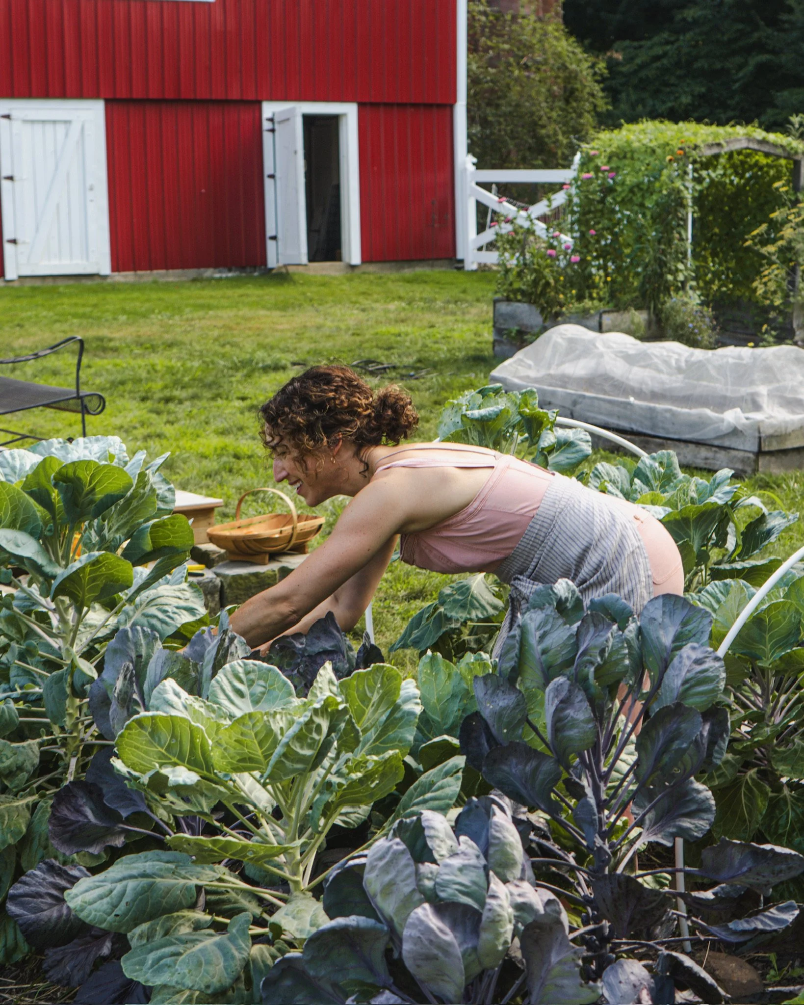 North_Ridge_Farm_2025-23.jpeg
