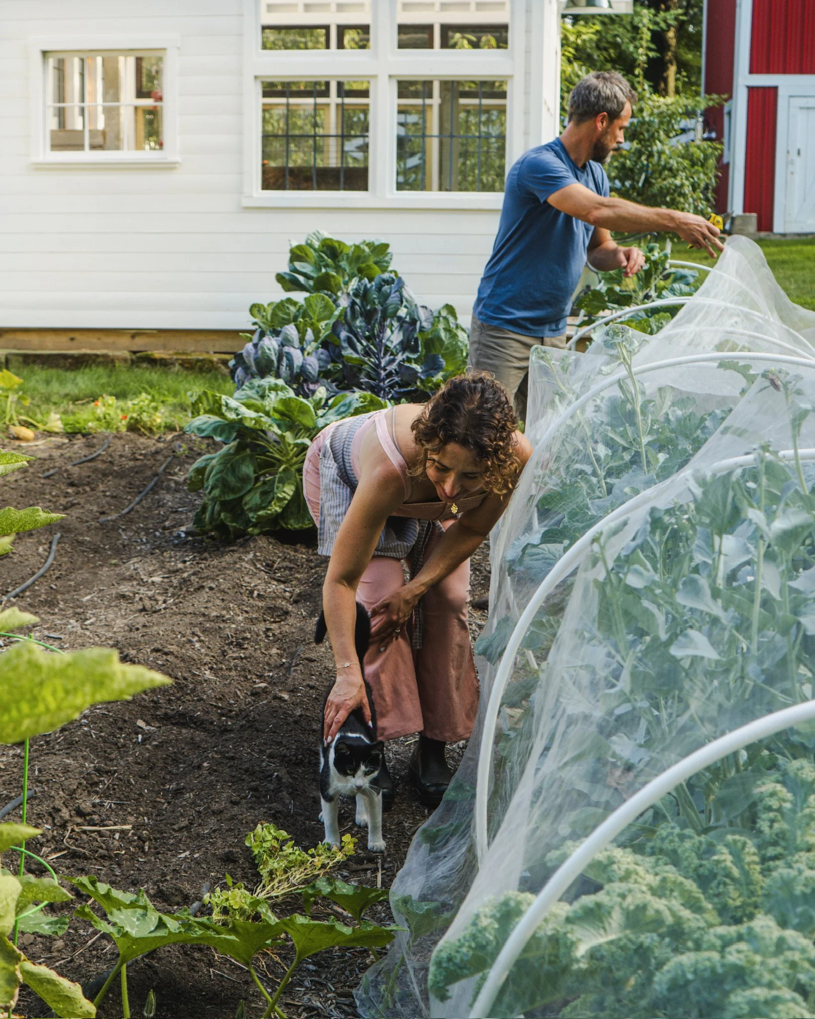North_Ridge_Farm_2025-17.jpeg