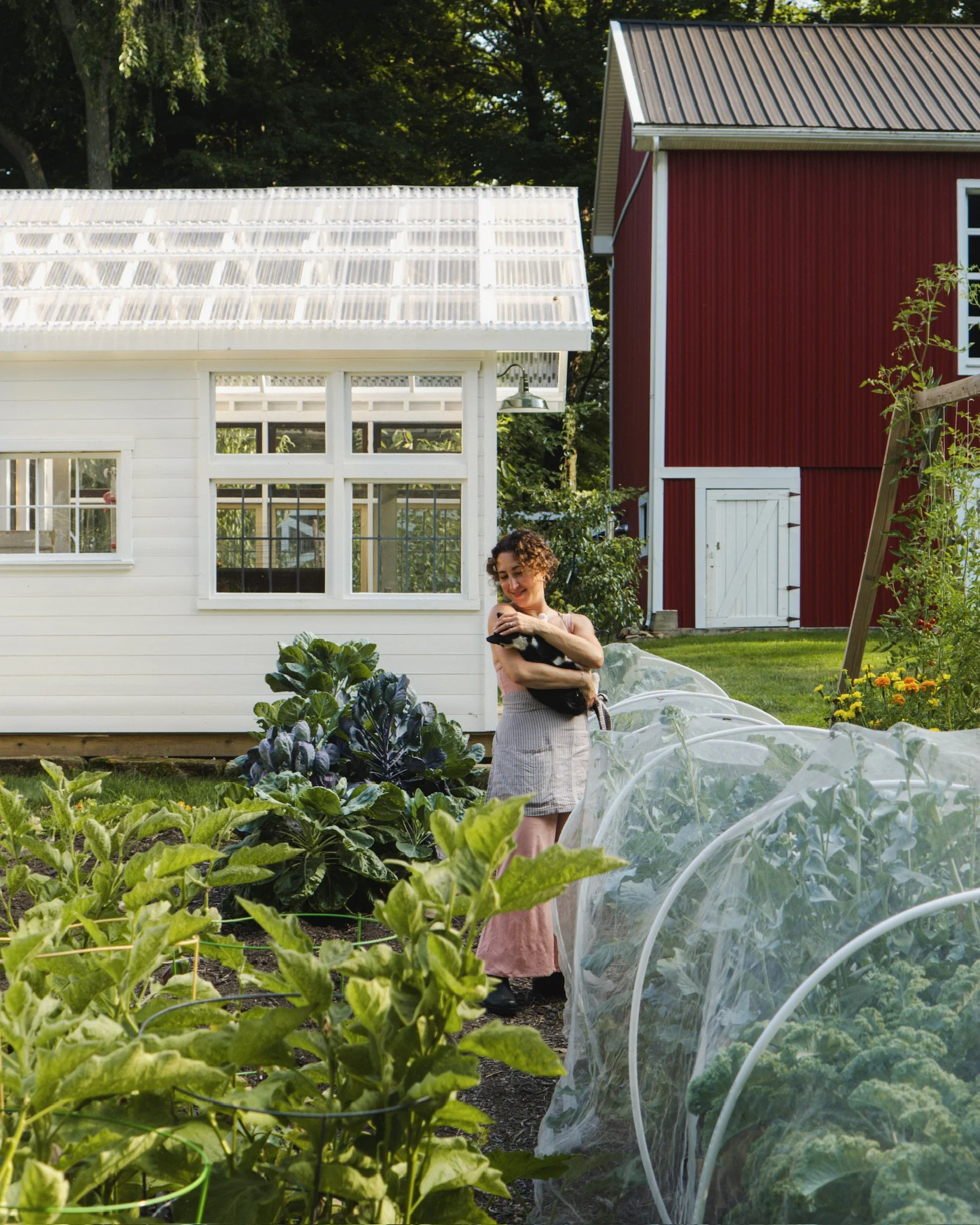 North_Ridge_Farm_2025-15.jpeg