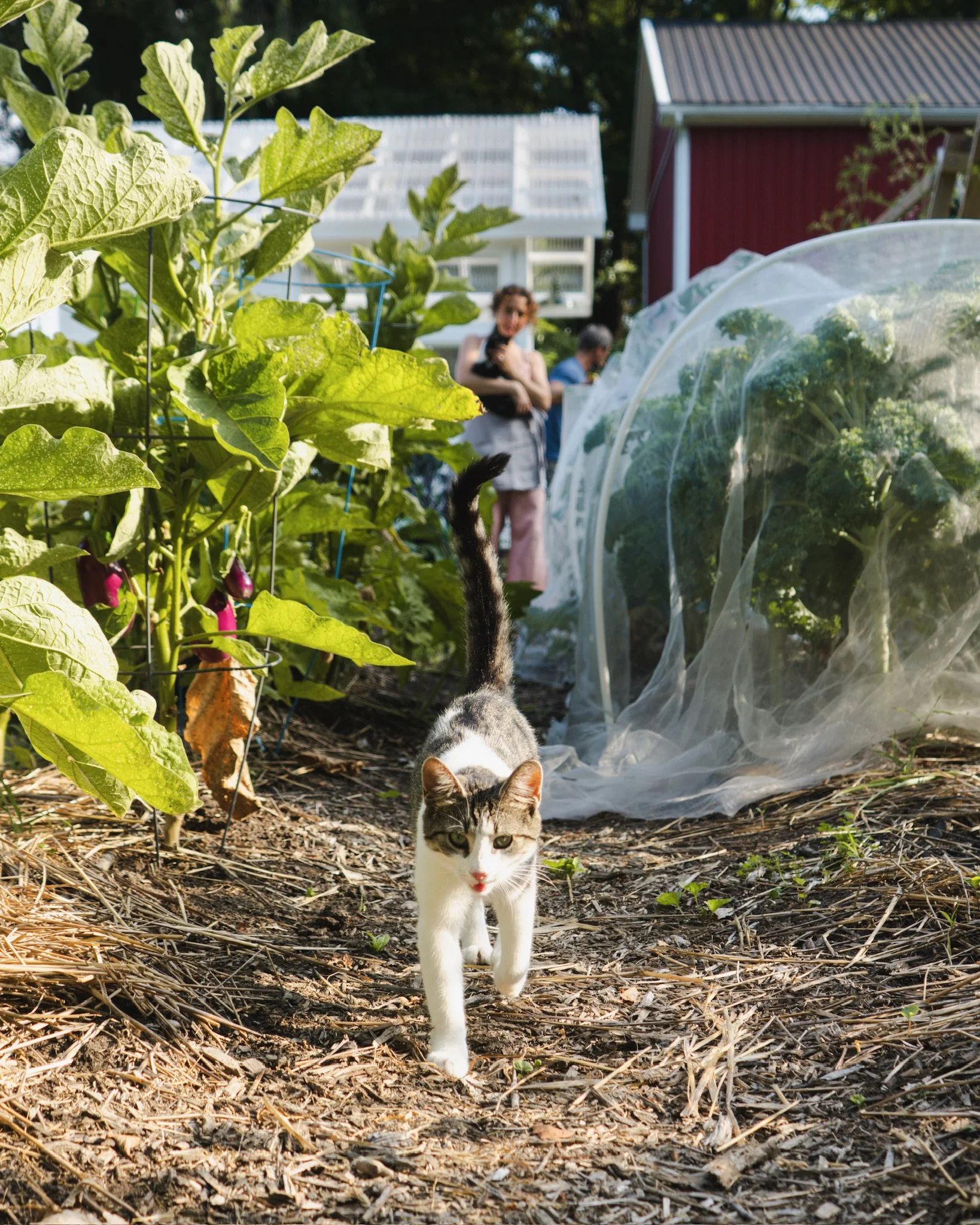 North_Ridge_Farm_2025-16.jpeg