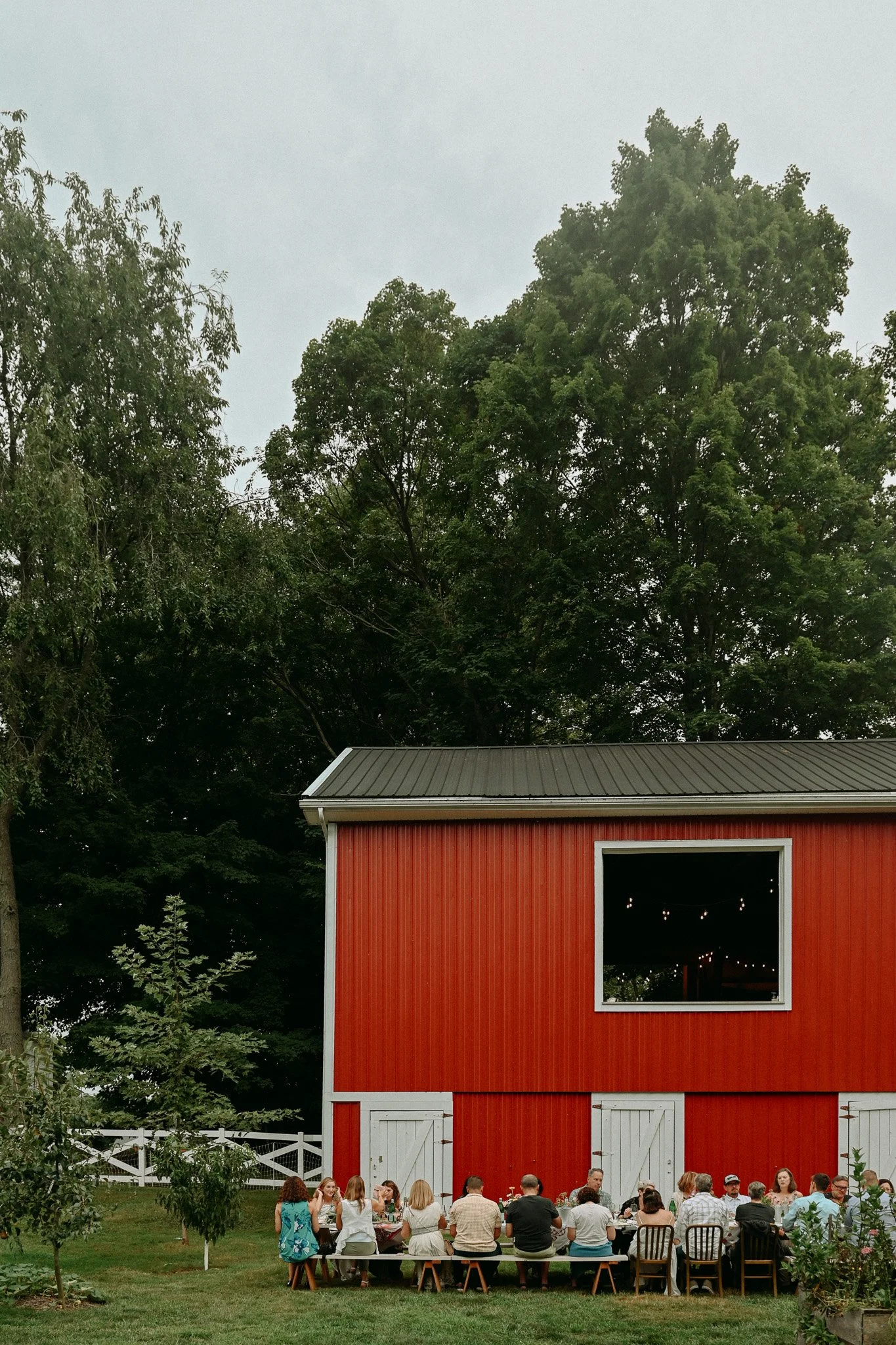 DSC_1146.jpeg