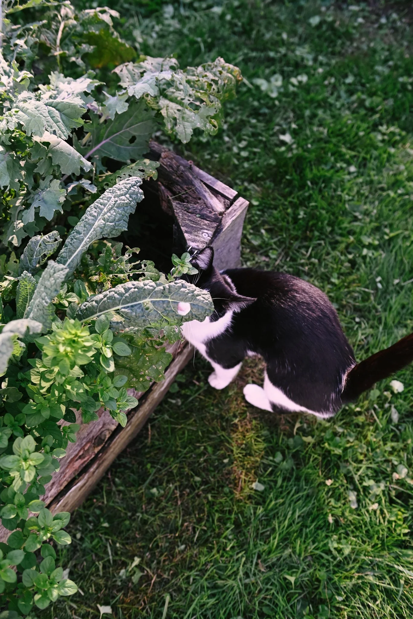DSC_7660.jpeg