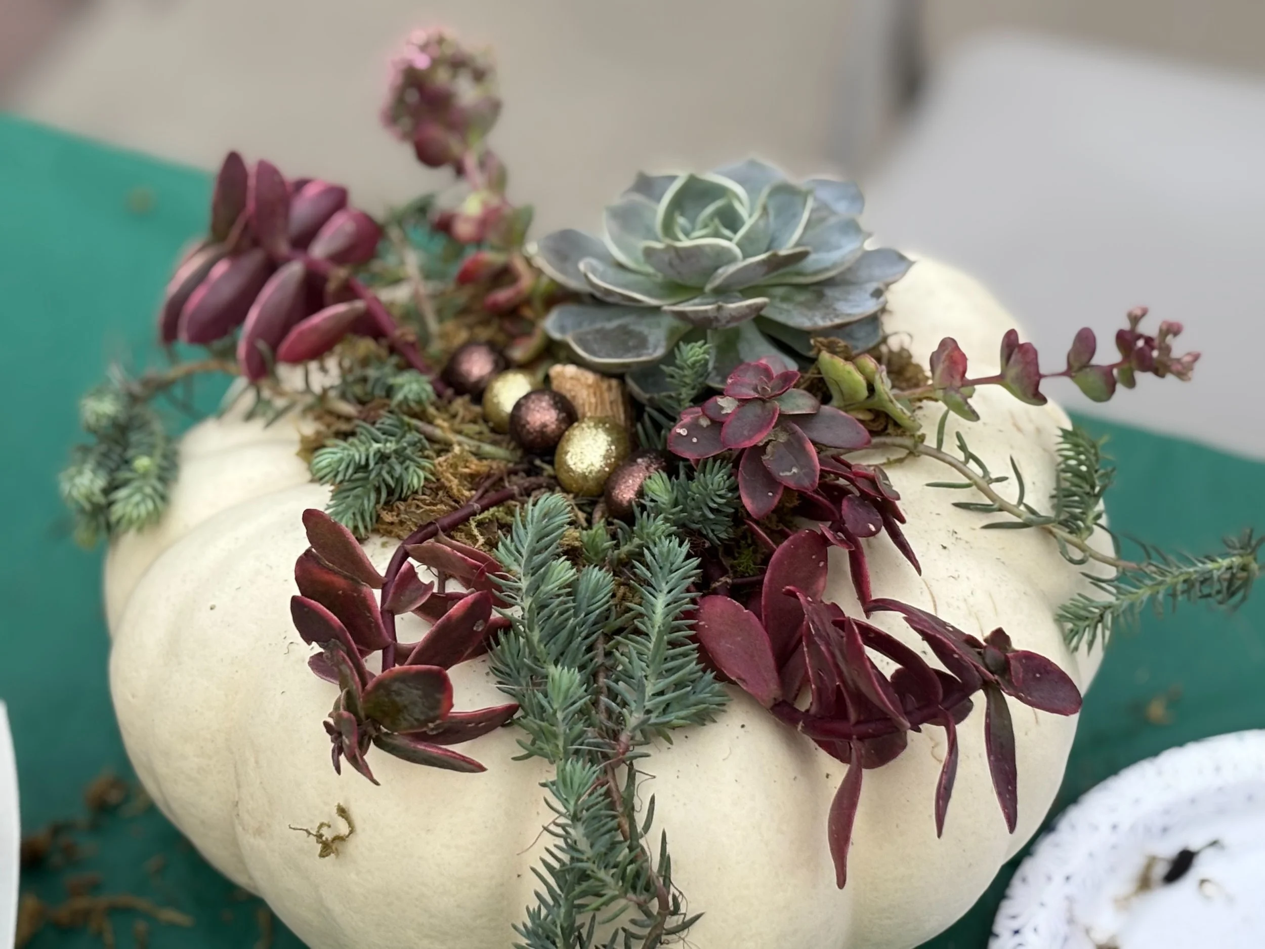 Pumpkin2_4496.jpg