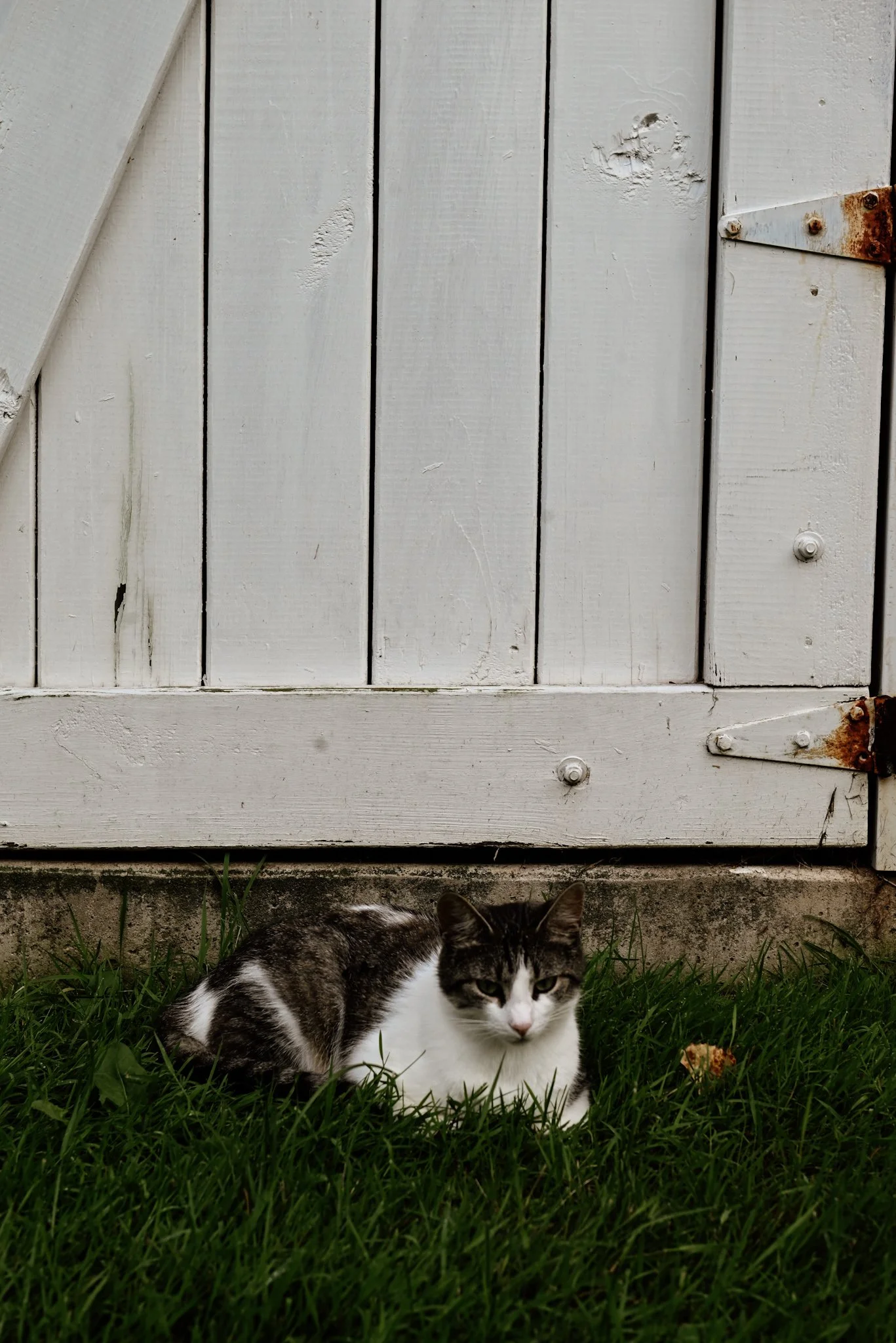 DSC_3948.jpeg