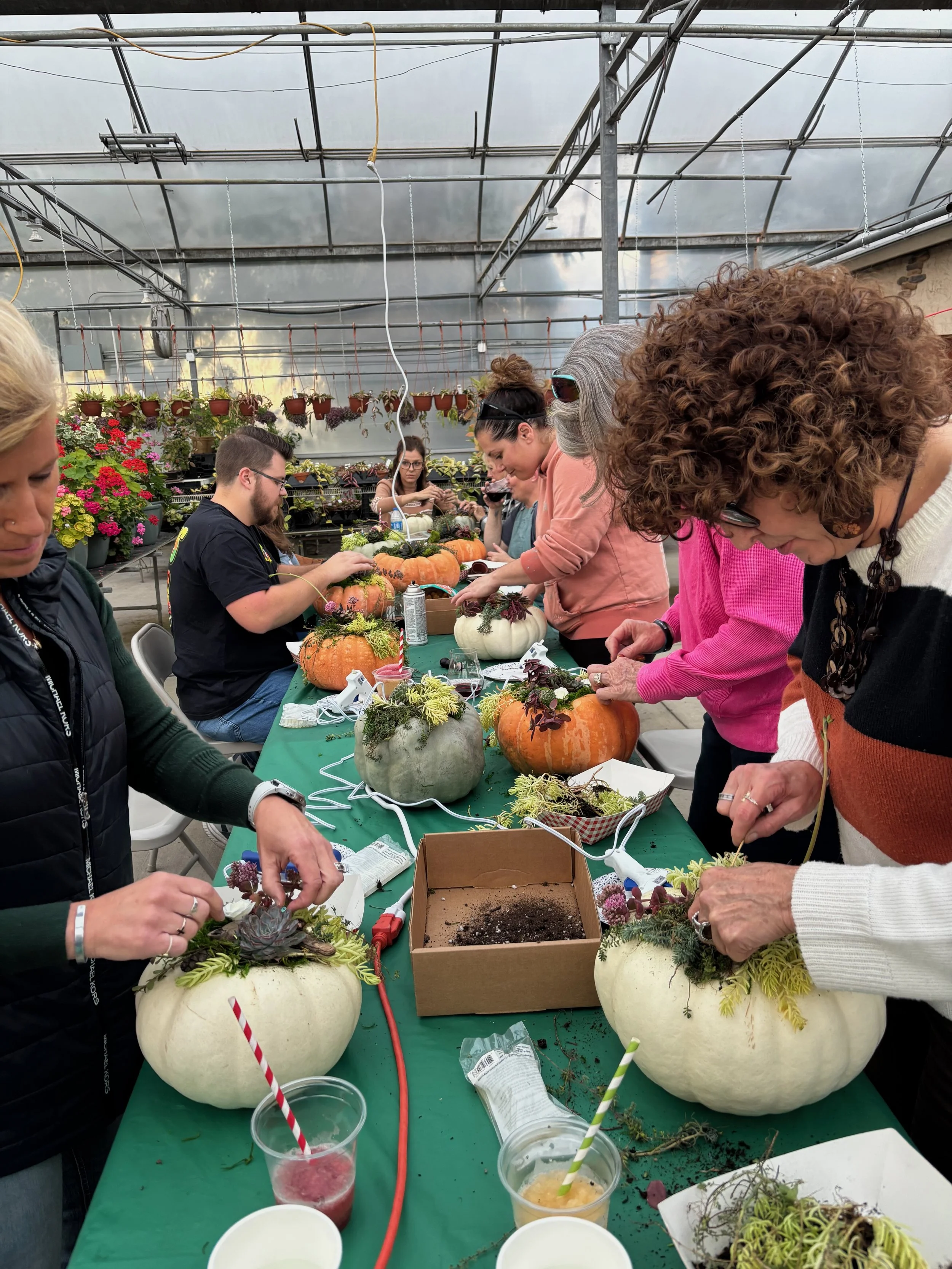 Pumpkin4_4494.jpg