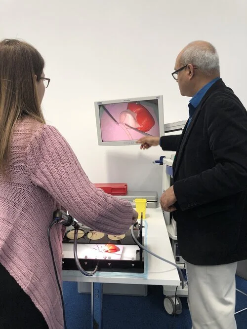 BAPES Karl Storz Paediatric Urology Scholarship Course 2020