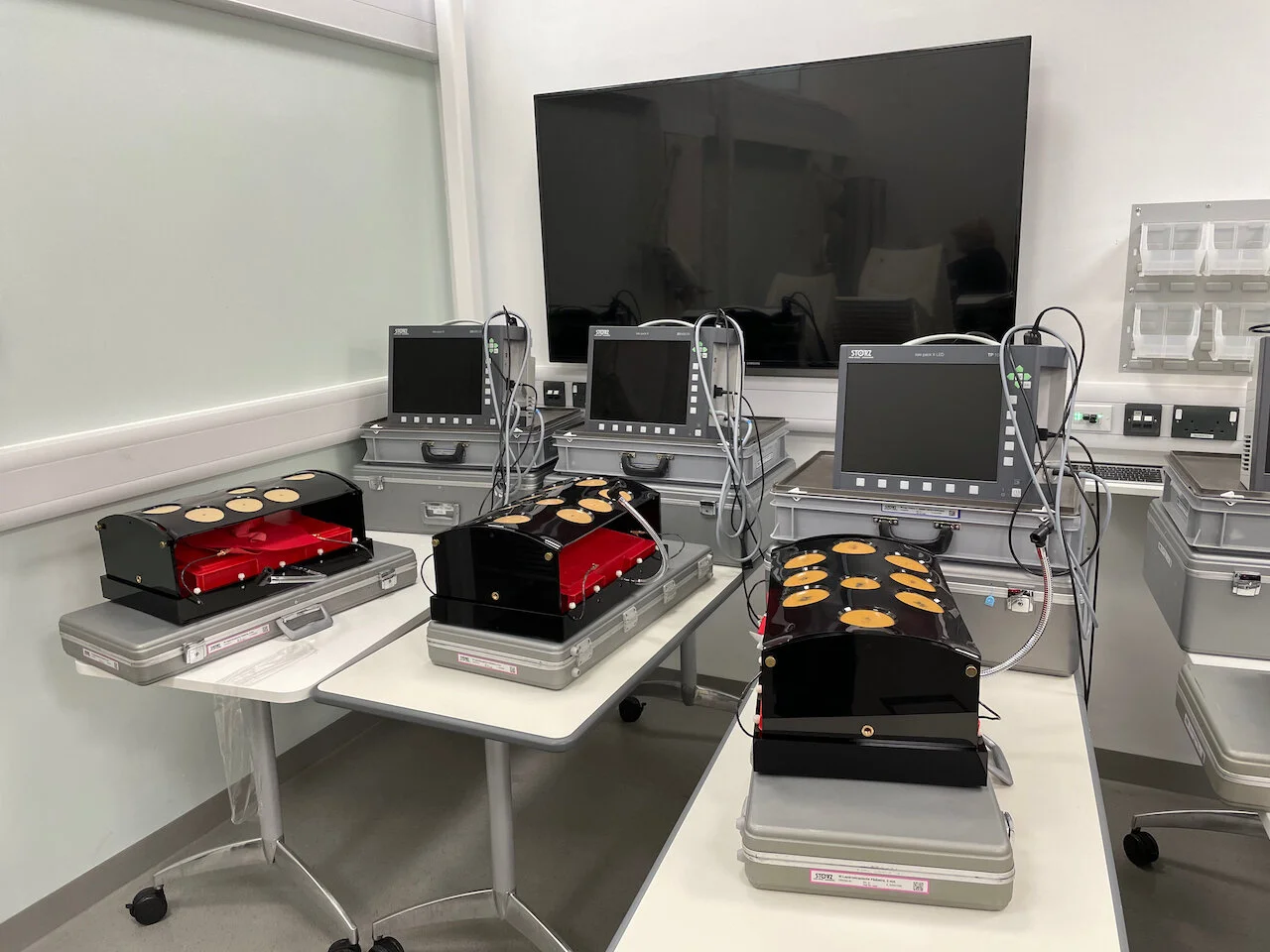 2021 BAPES Conference MIS Workshop